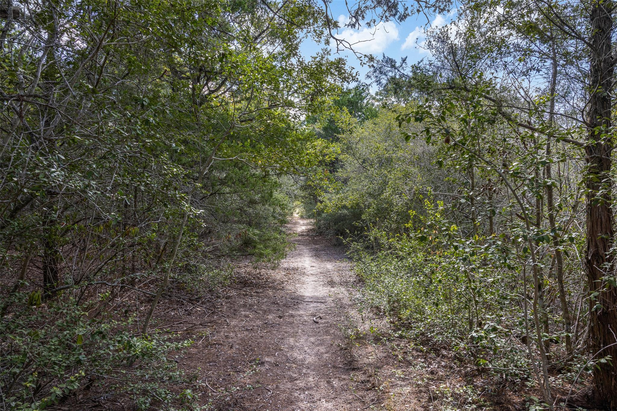 2025 Mule Creek RD