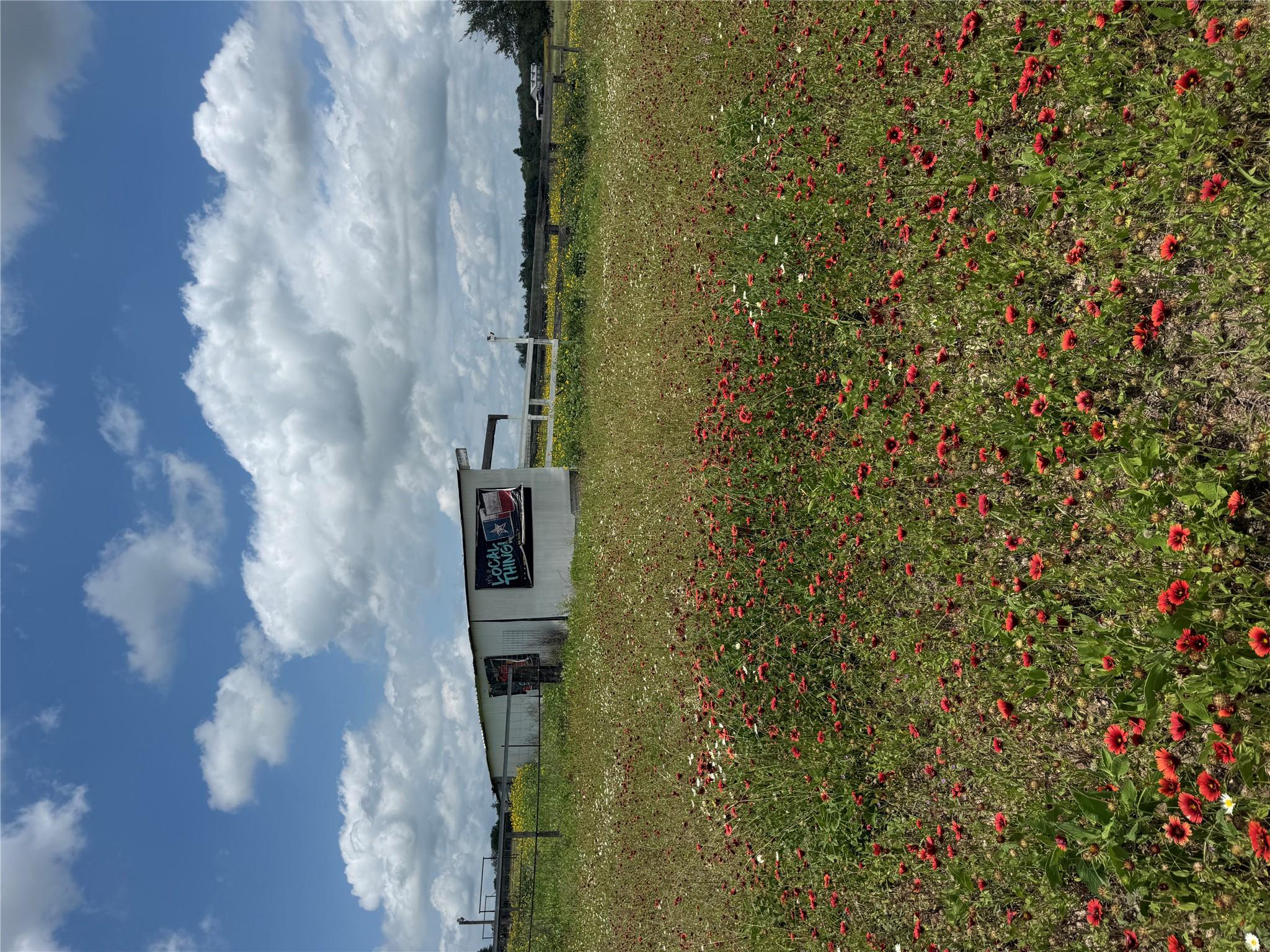 2025-2135 Mule Creek RD, Harwood