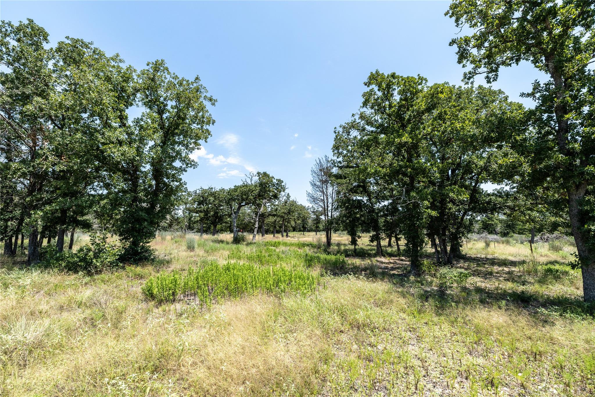 TBD Edgewood TRL
