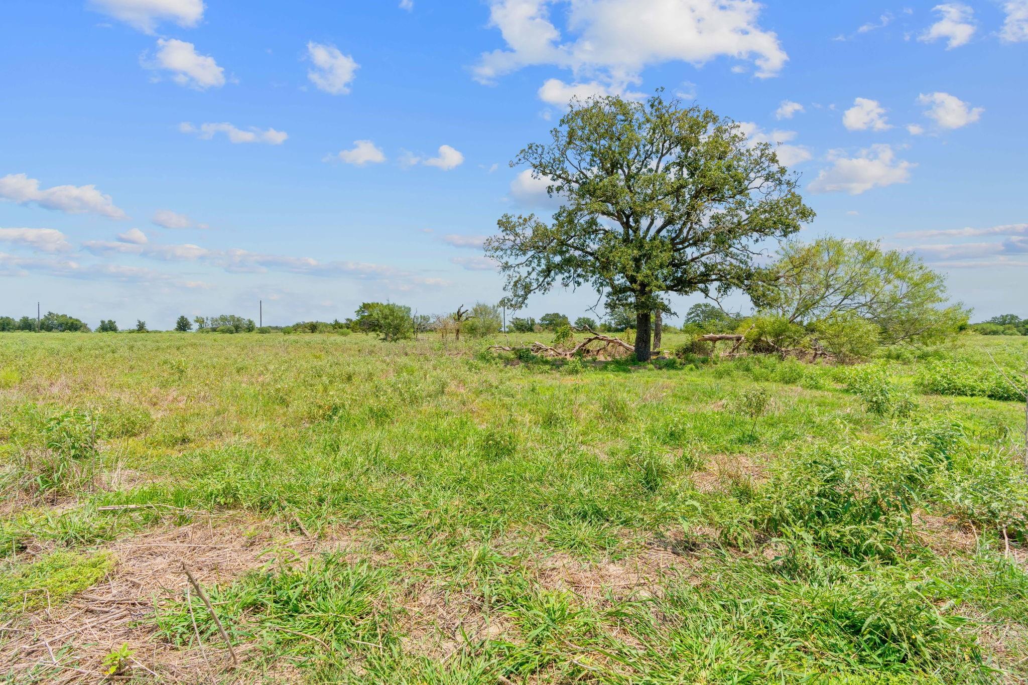 Lot 7 County Road 406