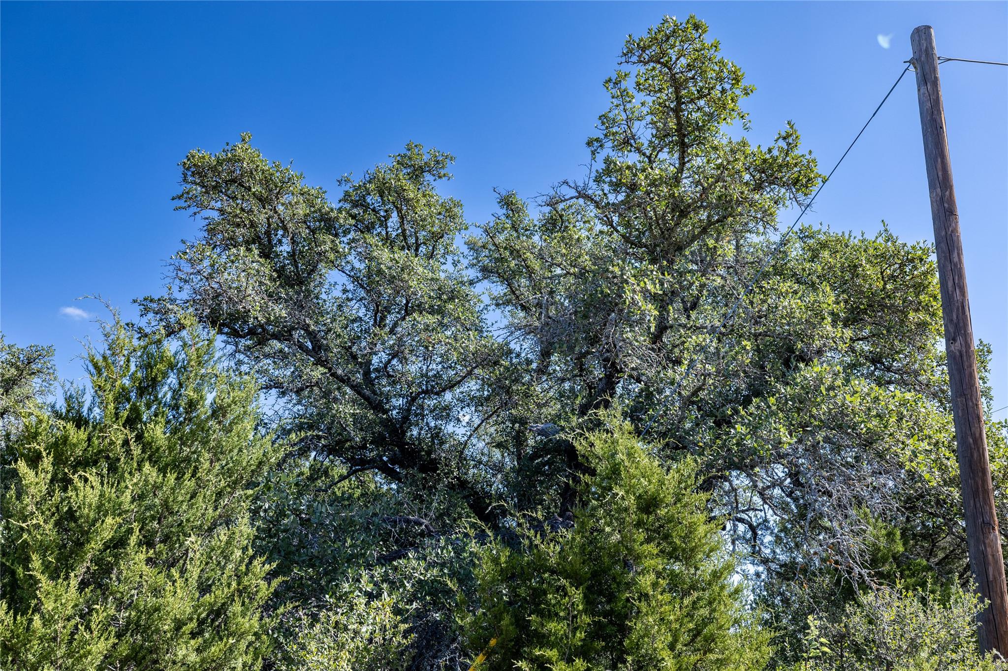 LOT K10048 Bald Eagle, Horseshoe Bay