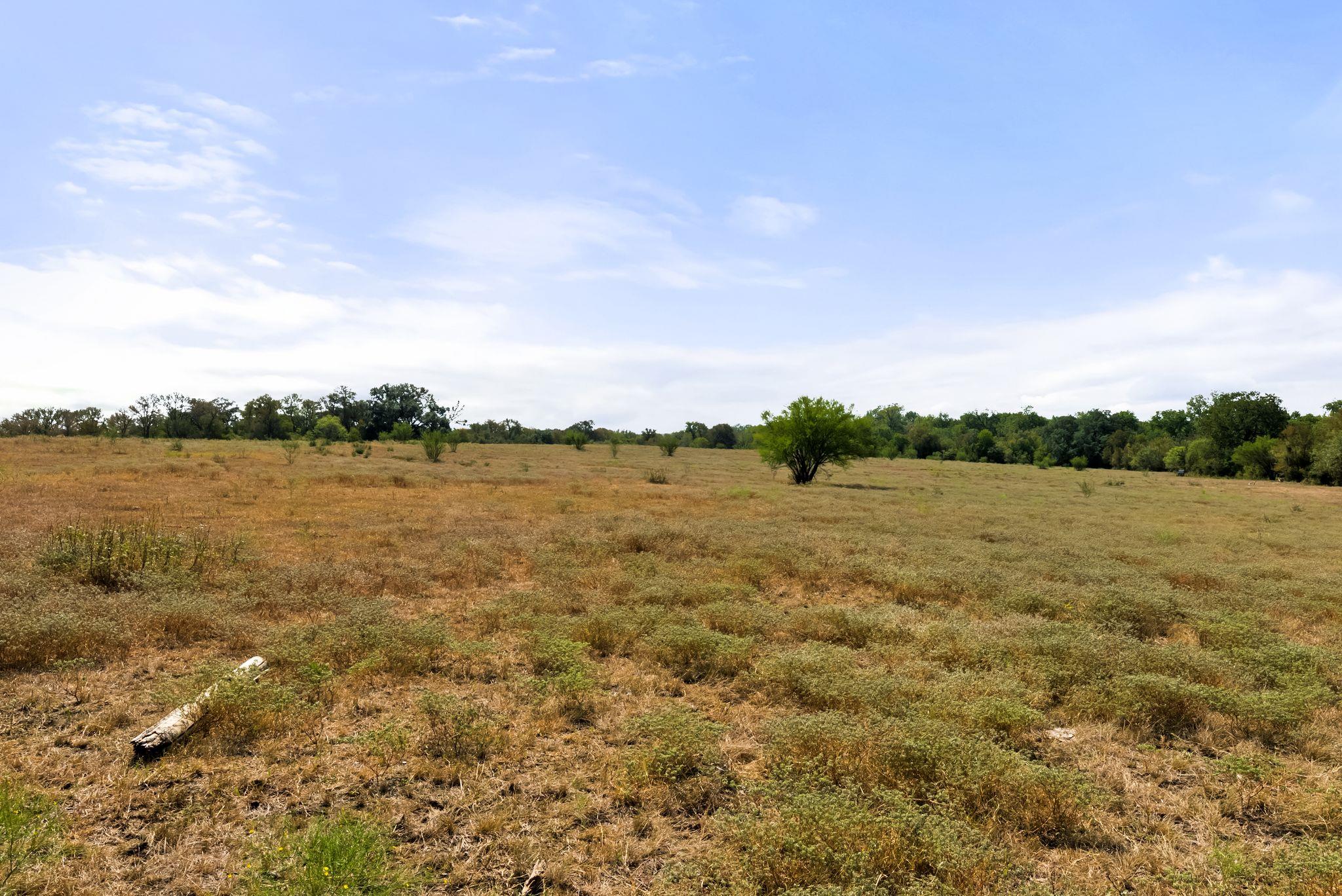 1272 Old Lytton Springs RD