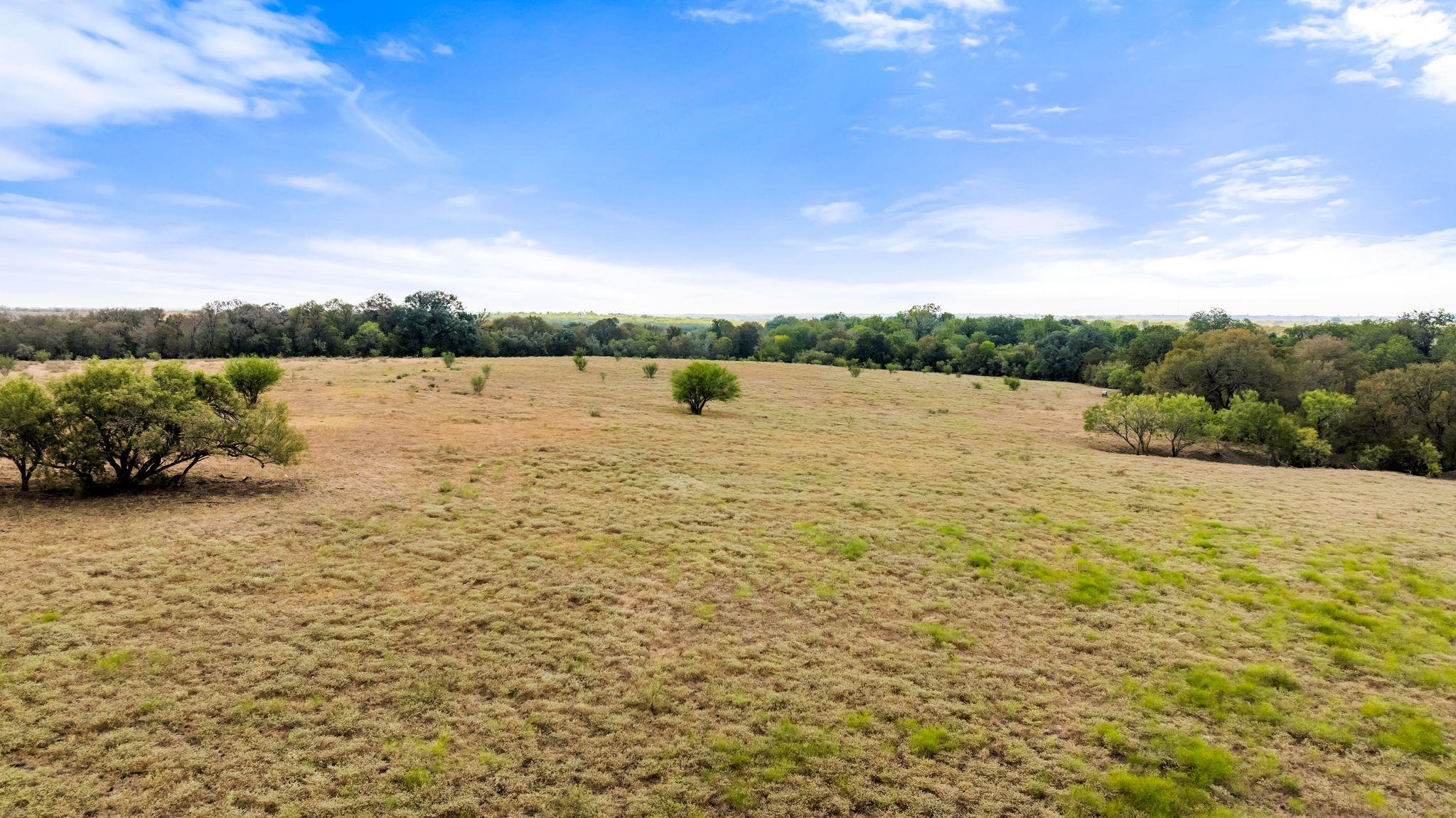 1272 Old Lytton Springs RD