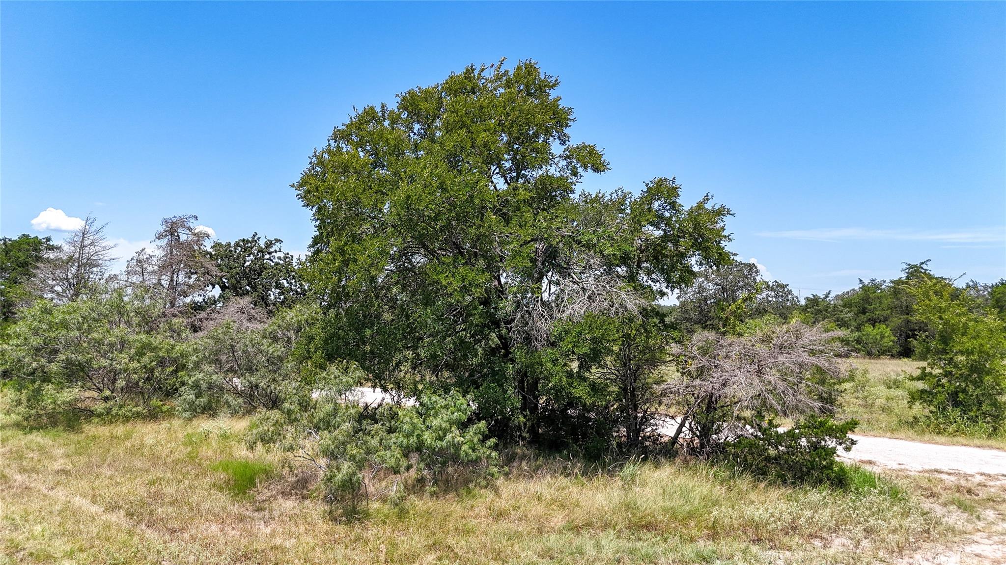 Lot 5 Zack LN