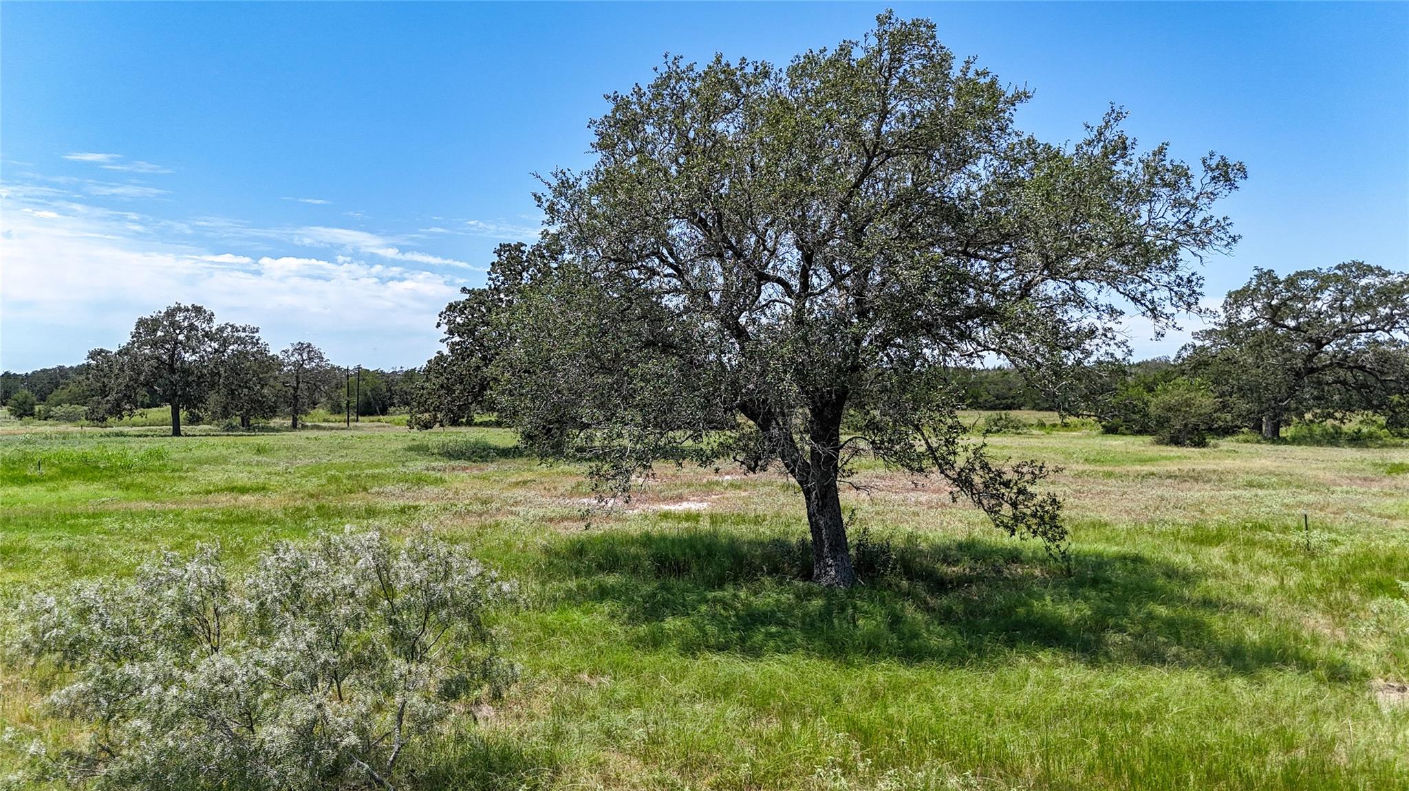 Lot 5 Zack LN