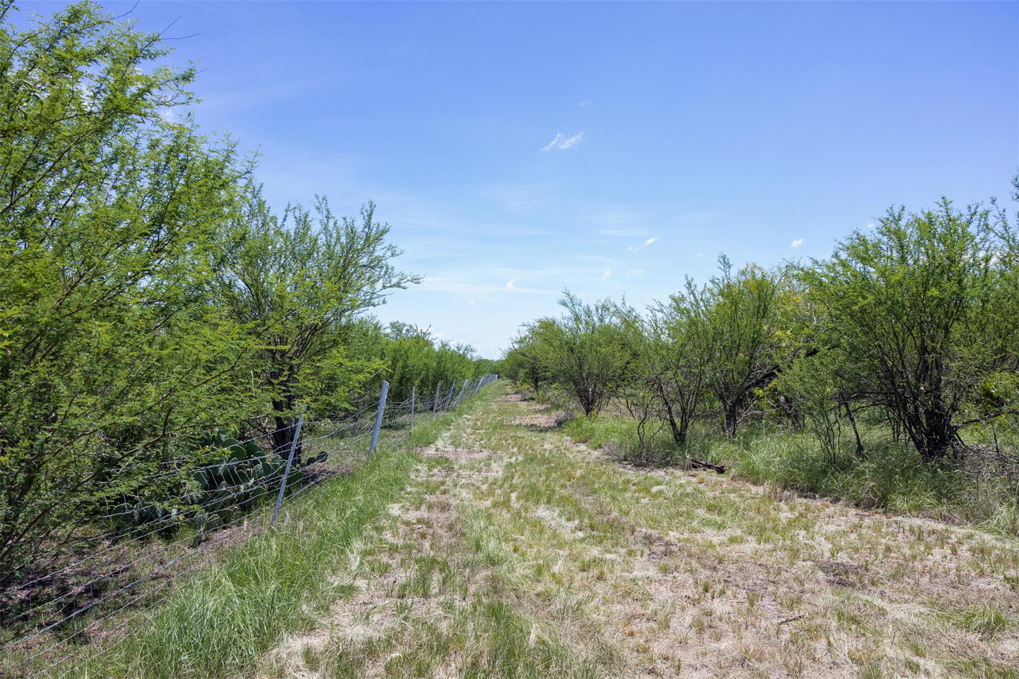 3710 Dry Creek RD