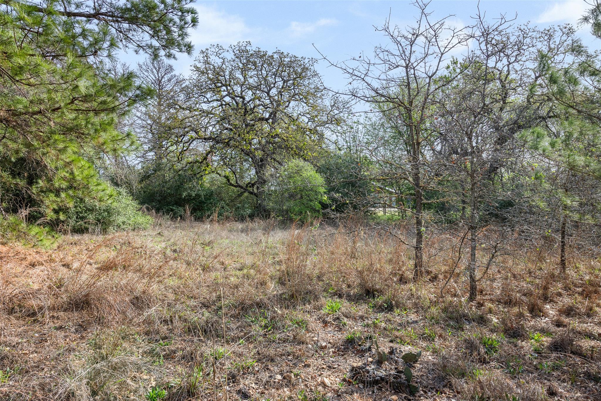 LOT 1 Indian Oak DR