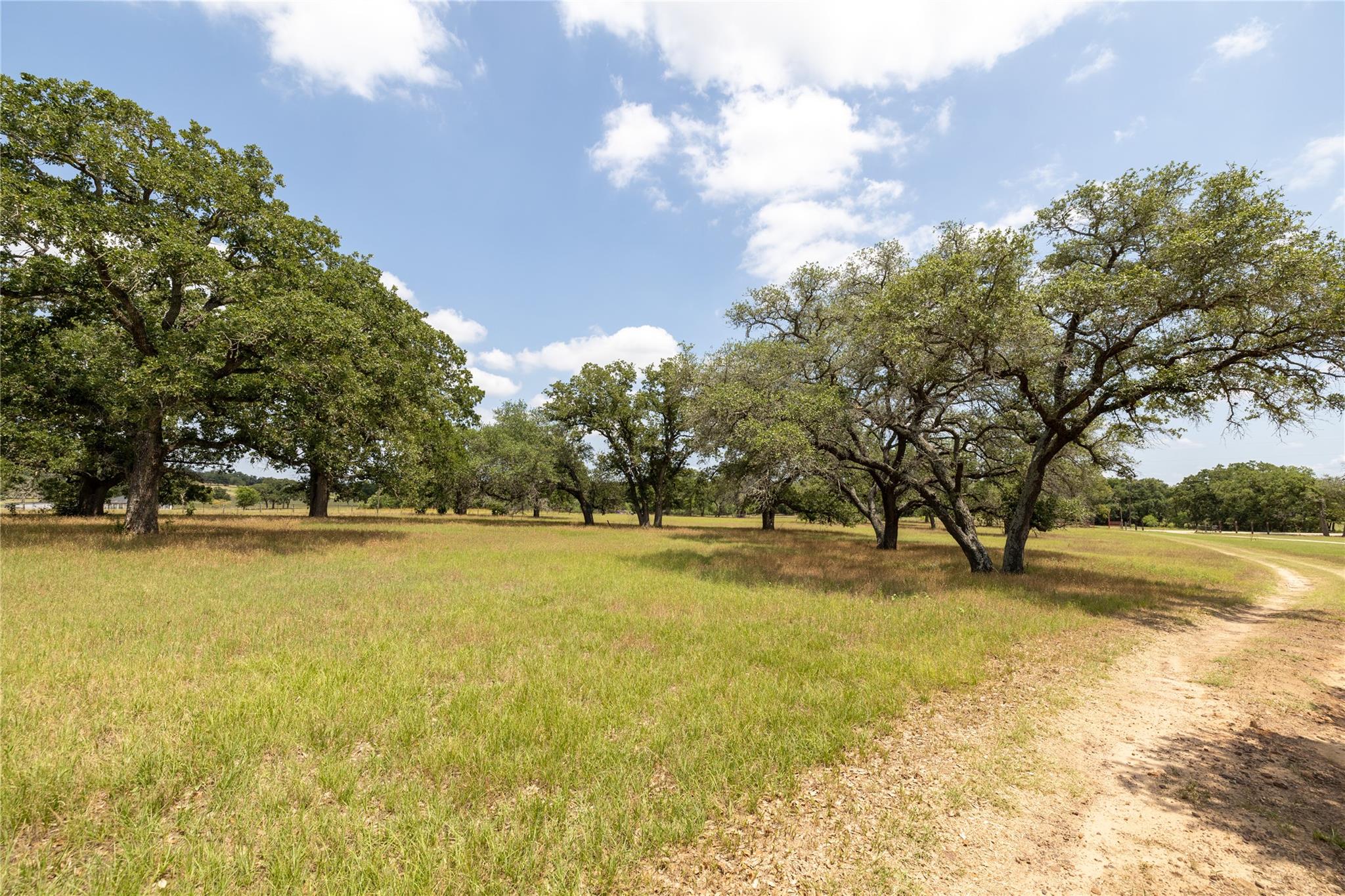 2901 Mule Creek RD
