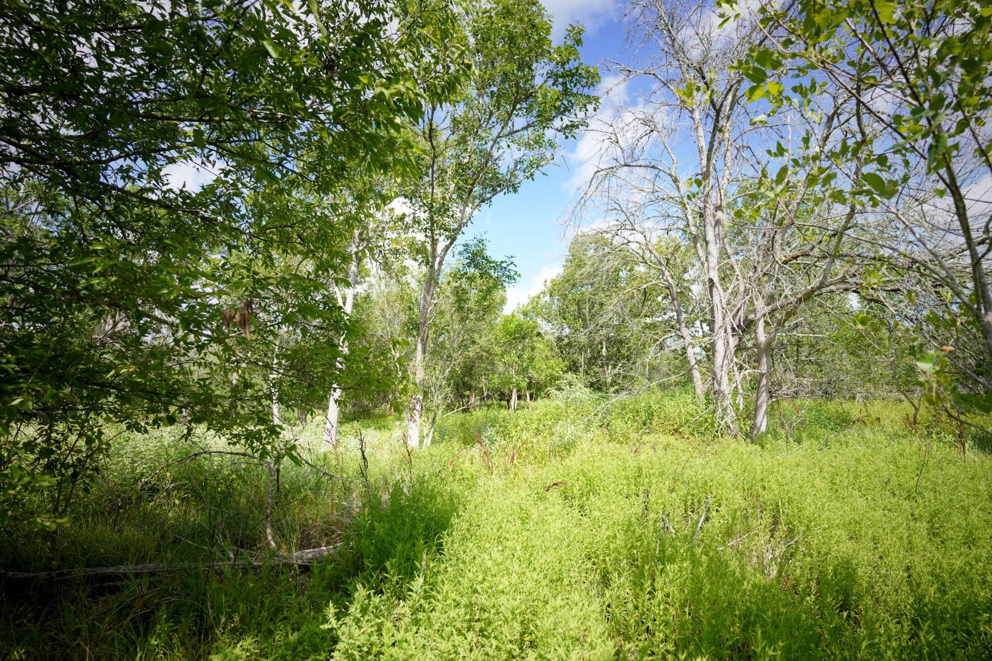 315 Union Hill RD