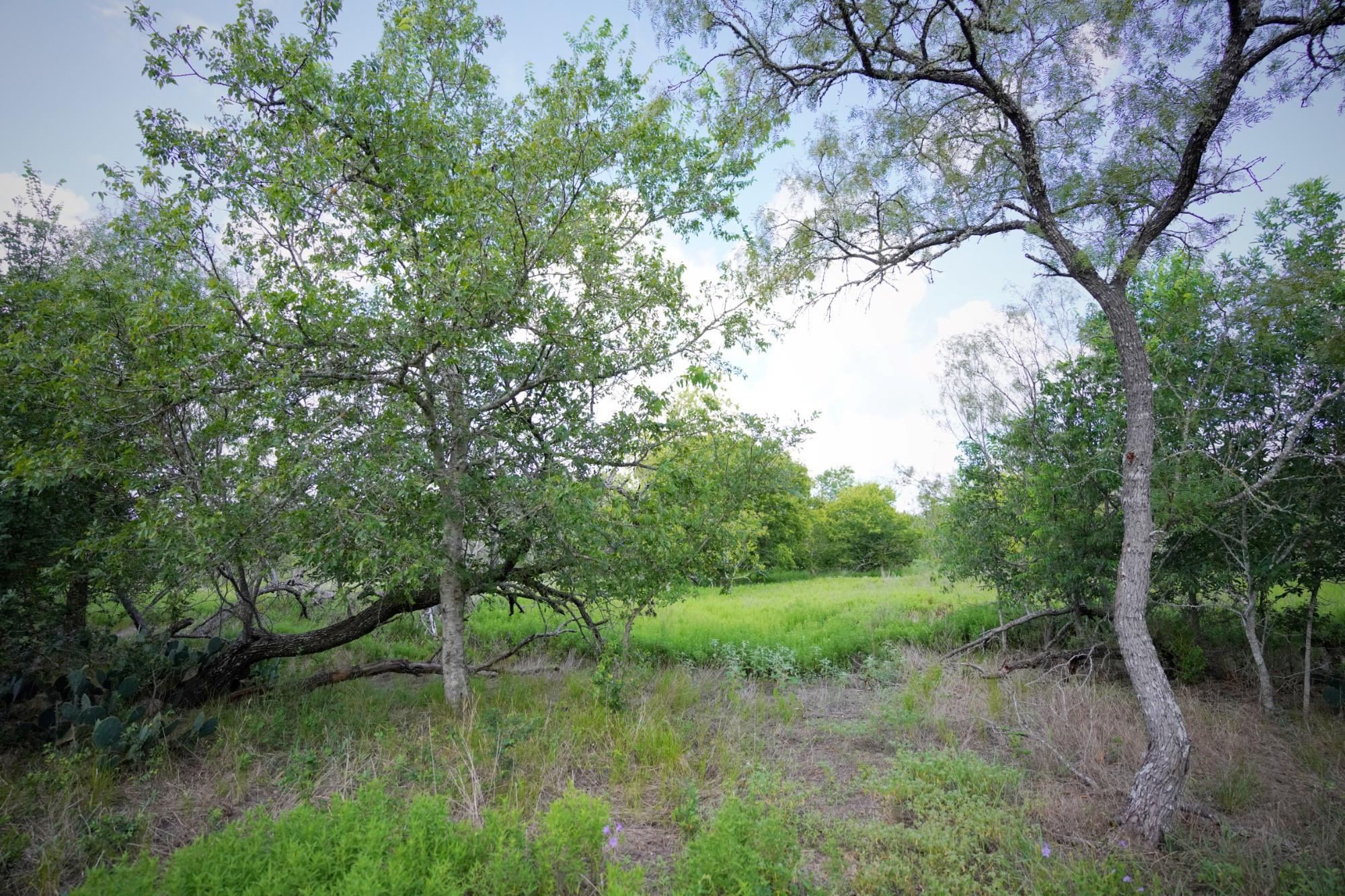 315 Union Hill RD