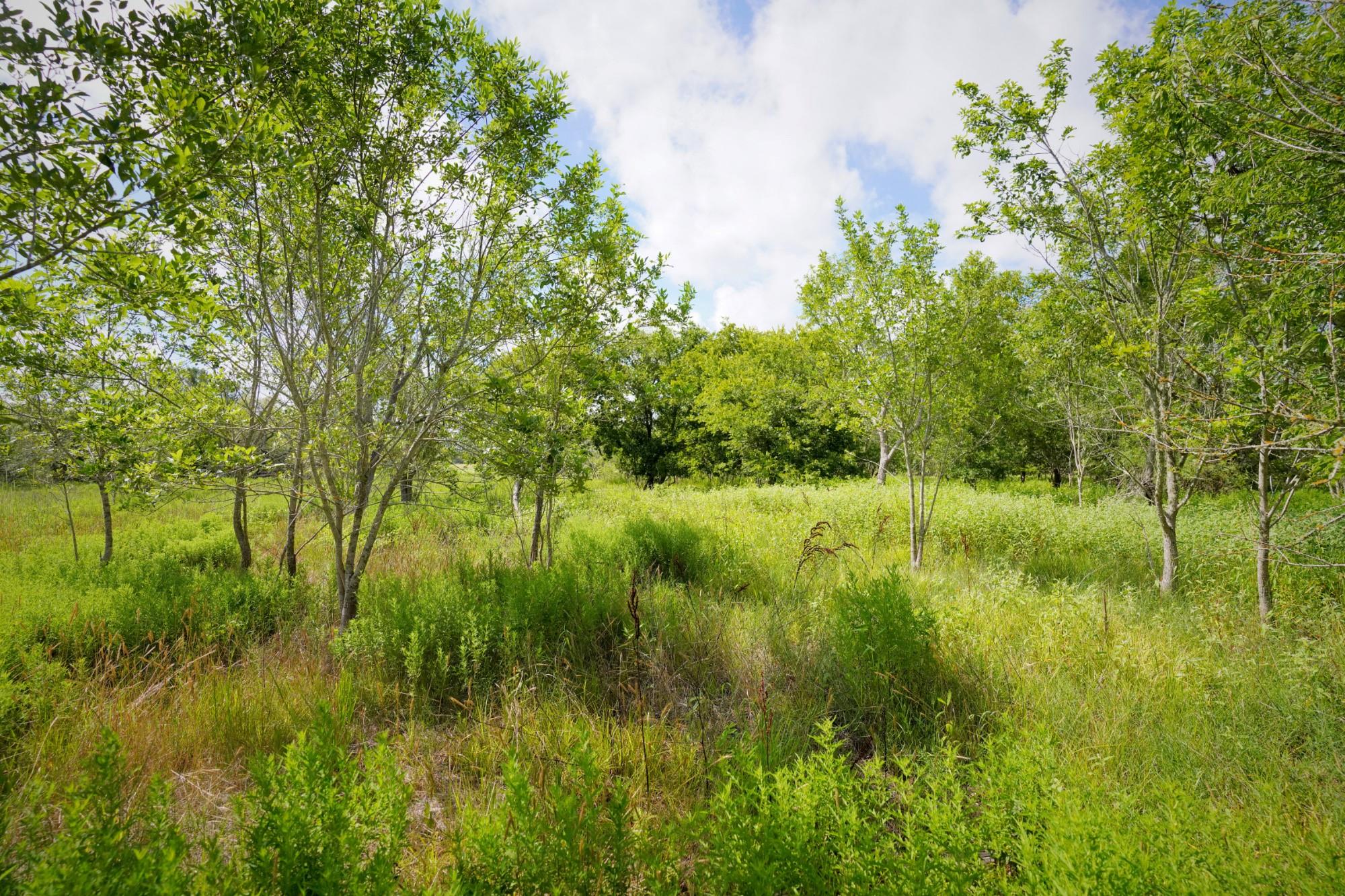315 Union Hill RD