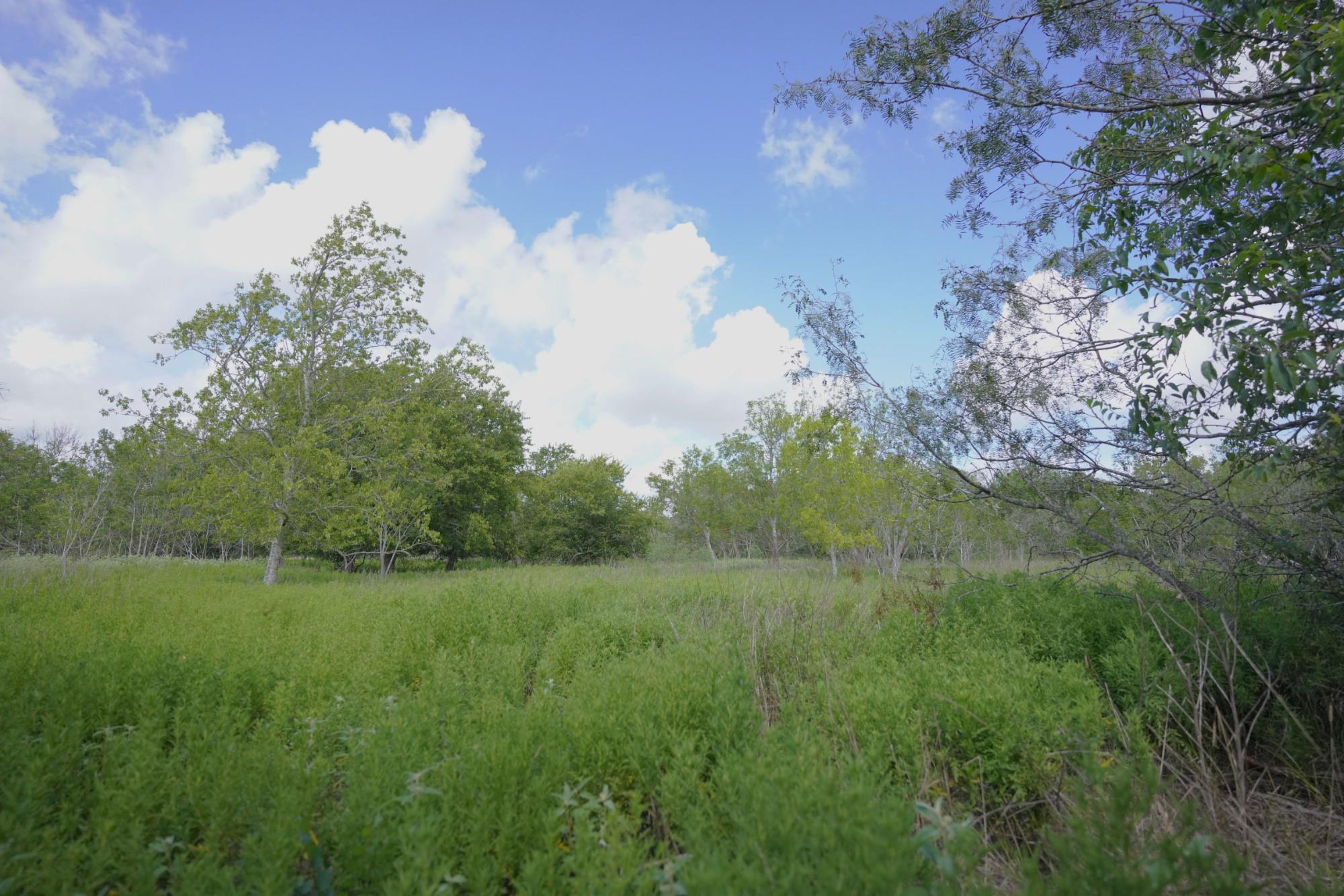 315 Union Hill RD