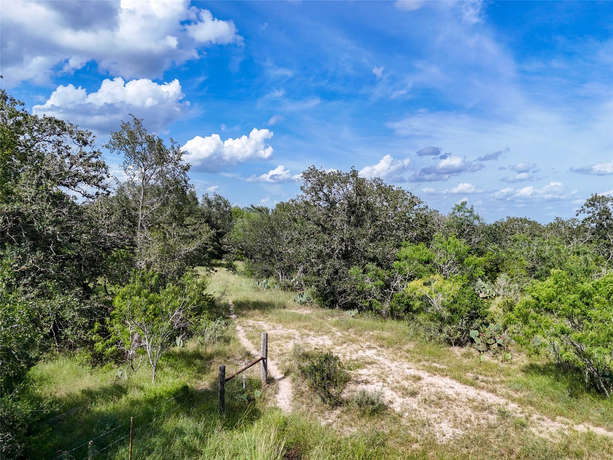 TBD County Road 211