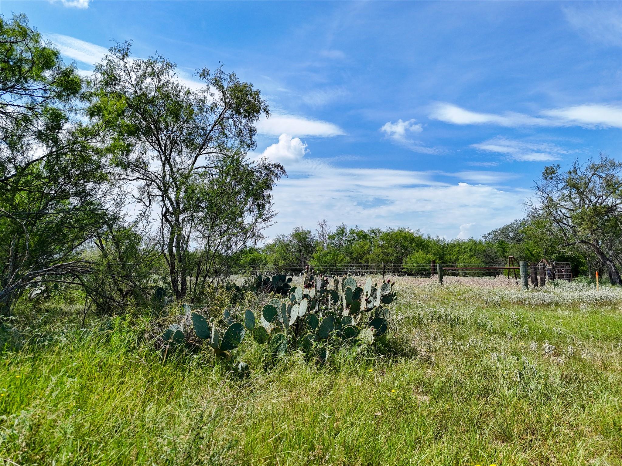 Lot 3 County Road 211