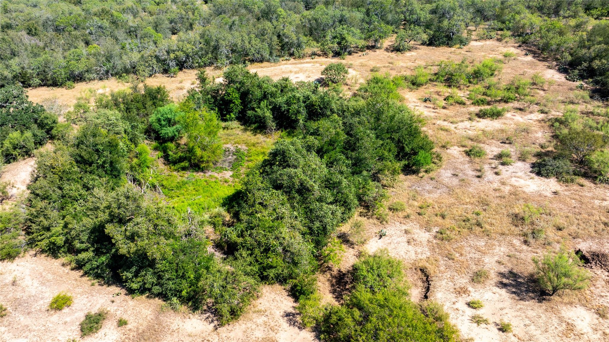 LOT 2B Tumbleweed TRL