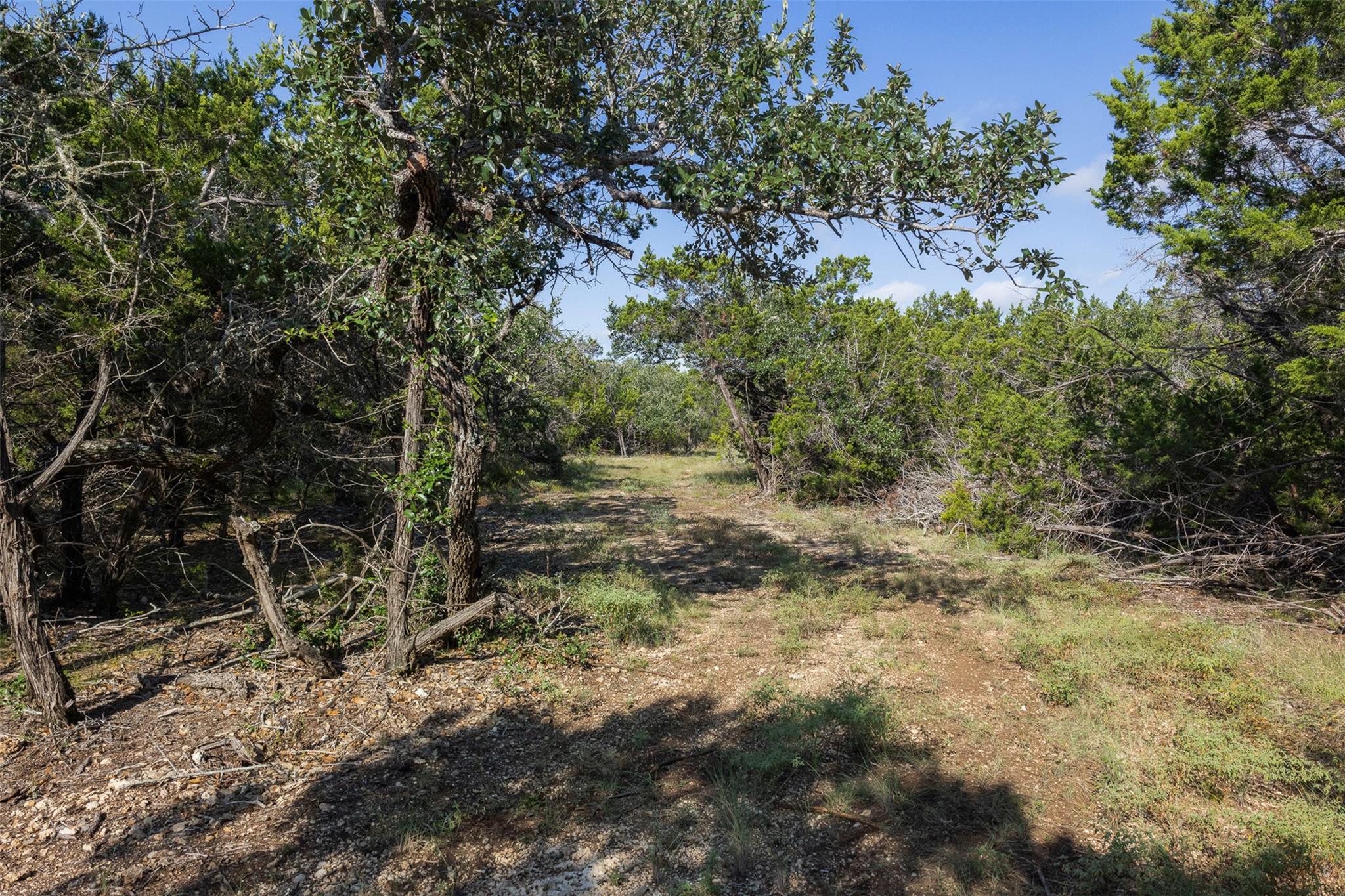 601 Mount Olive School RD