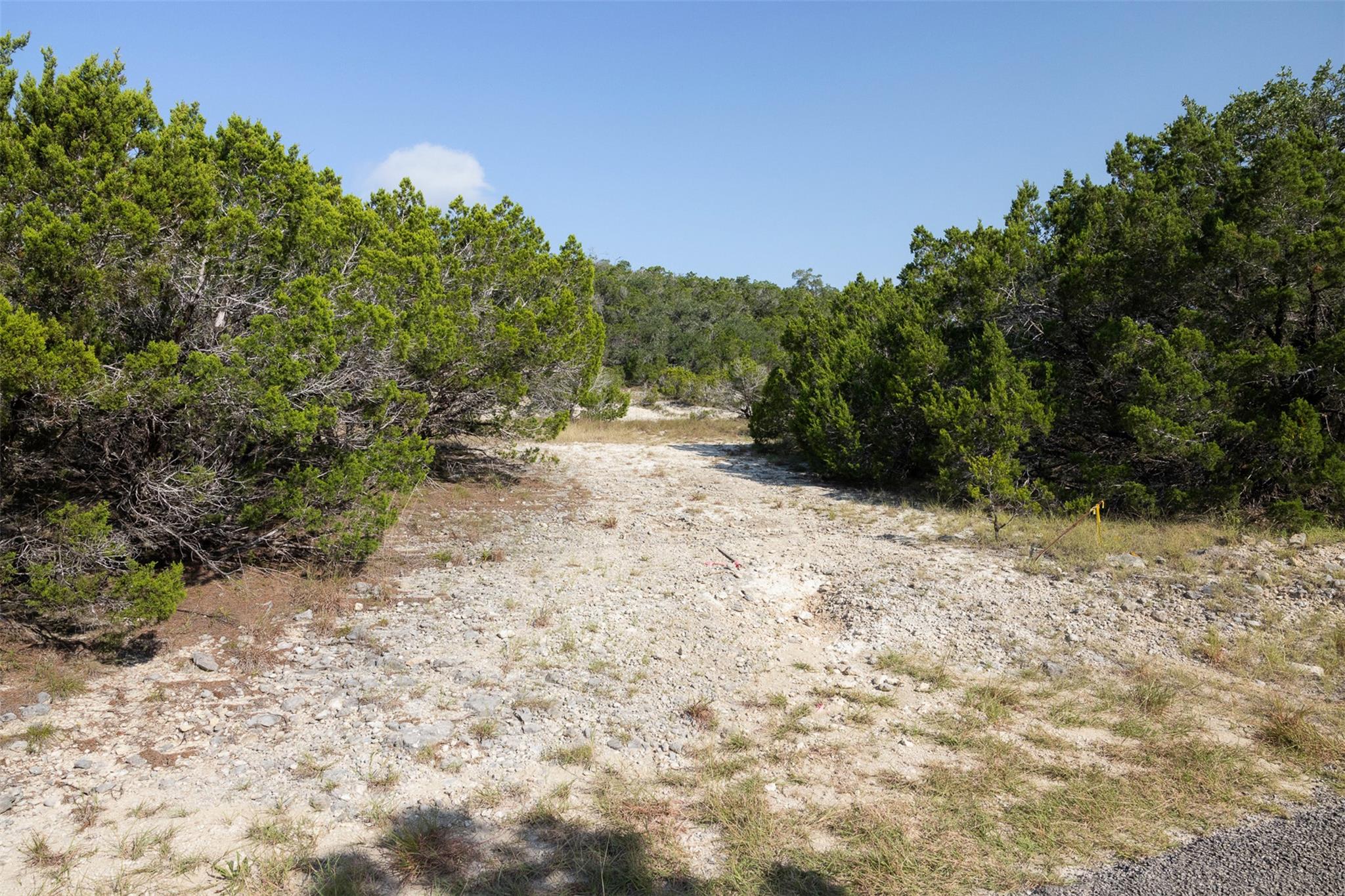 601 Mount Olive School RD