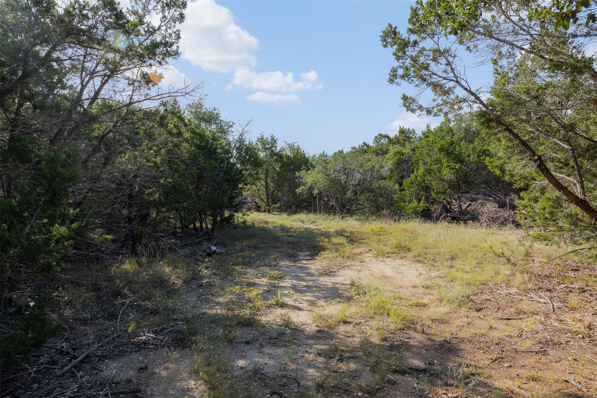 601 Mount Olive School RD