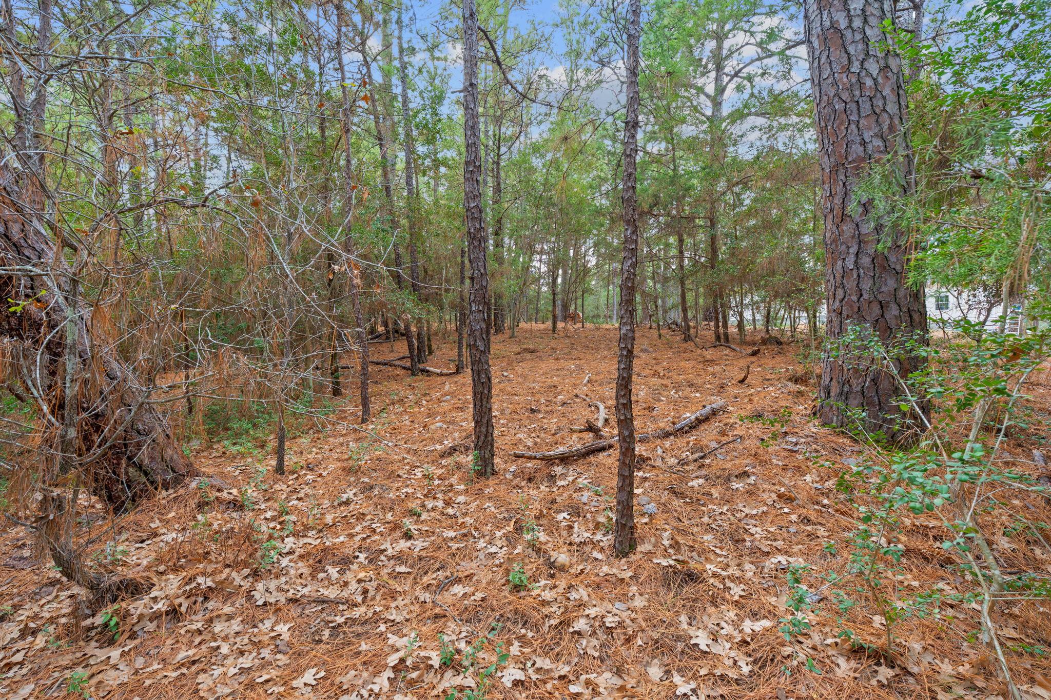 118 & 120 Kamaiki DR