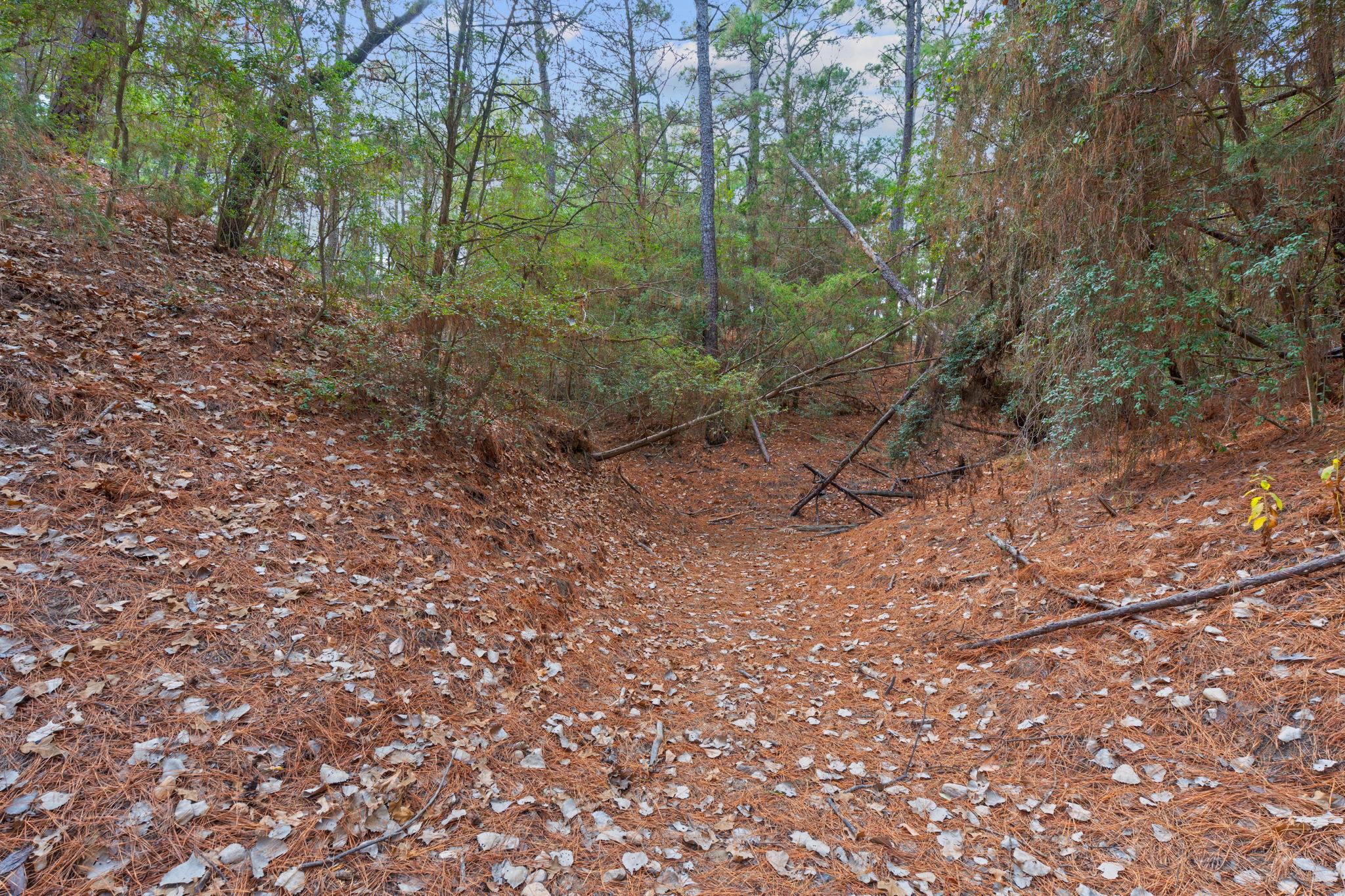 118 & 120 Kamaiki DR