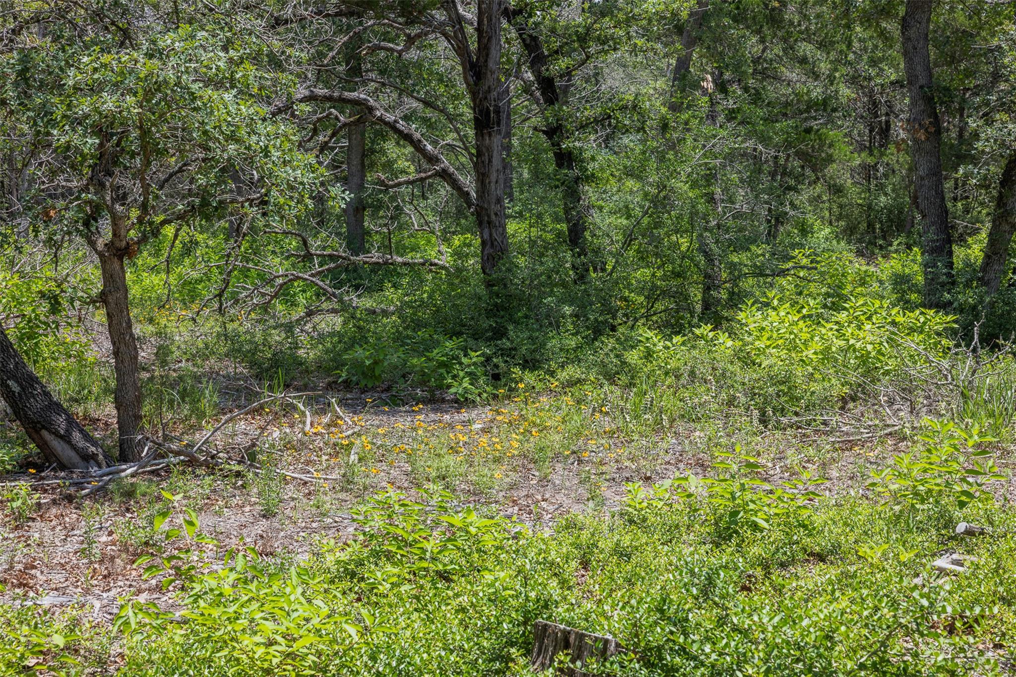 TBD Tract 3B Rabel Rd