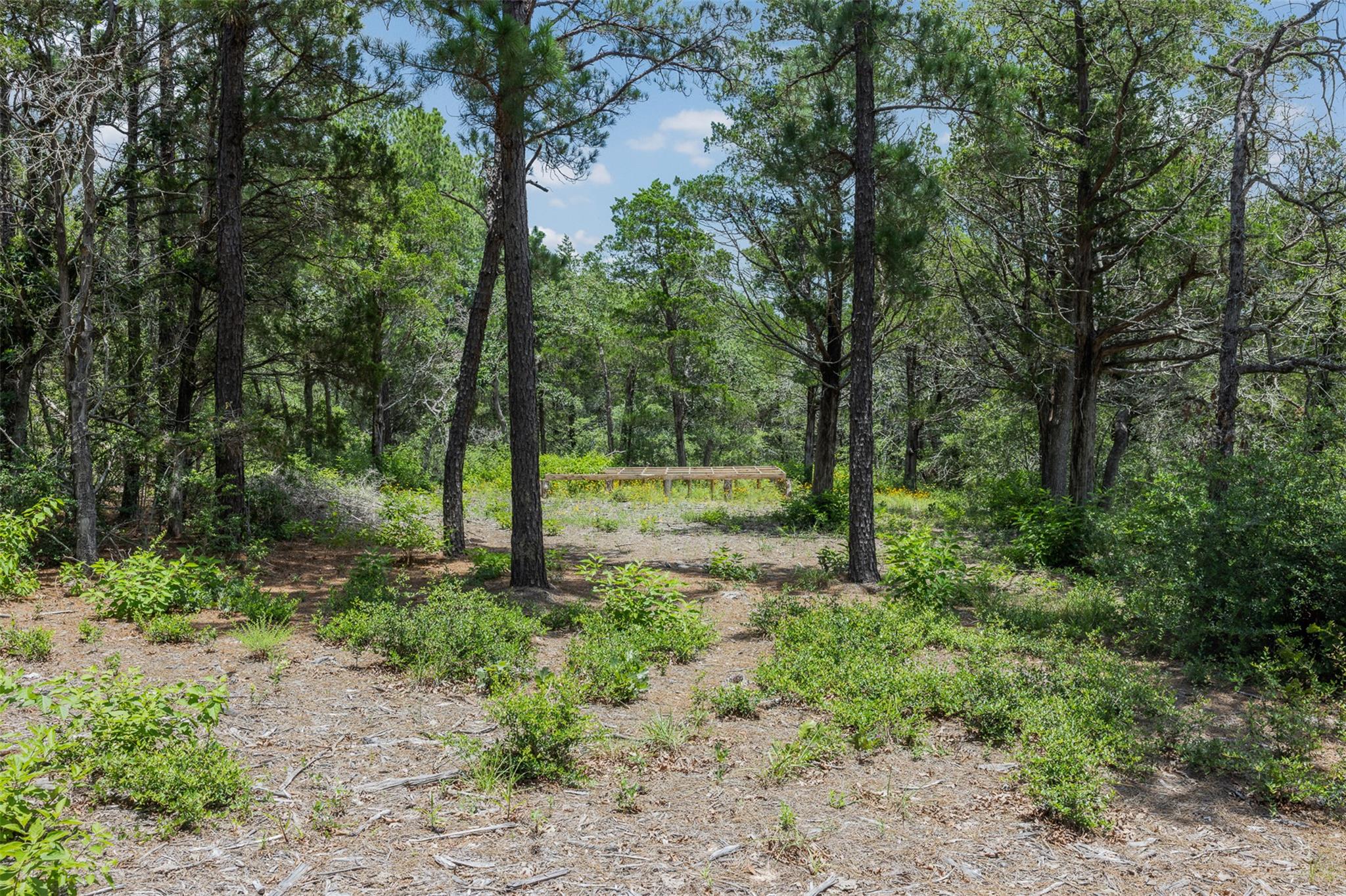 TBD Tract 3B Rabel Rd
