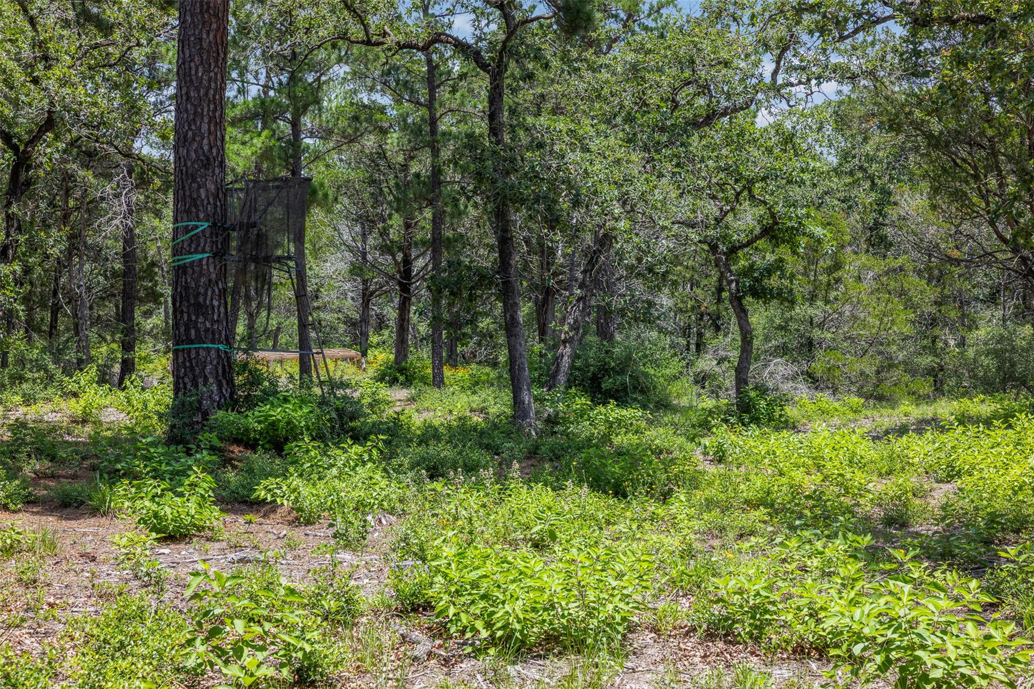 TBD Tract 3B Rabel Rd