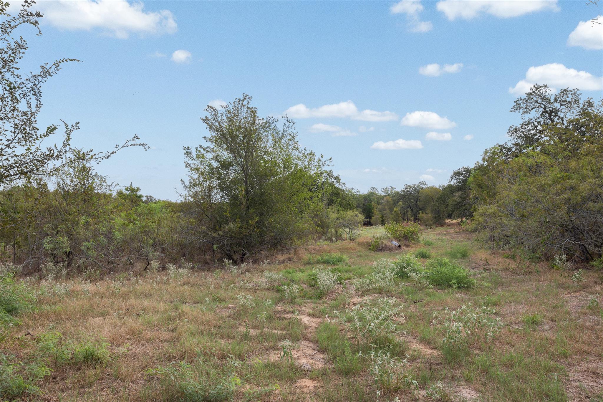 Lot 1 CR 491