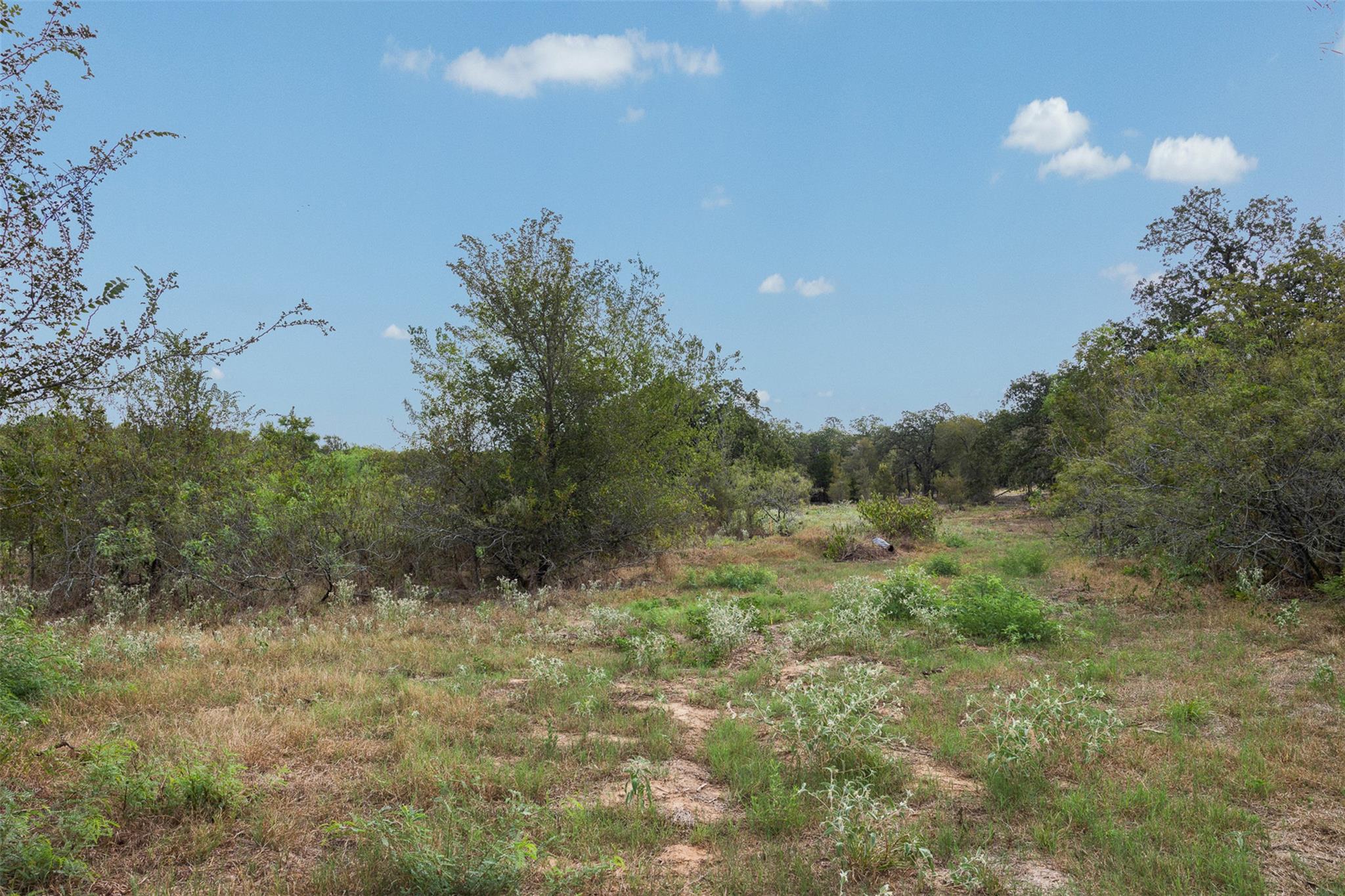 Lot 1 CR 491