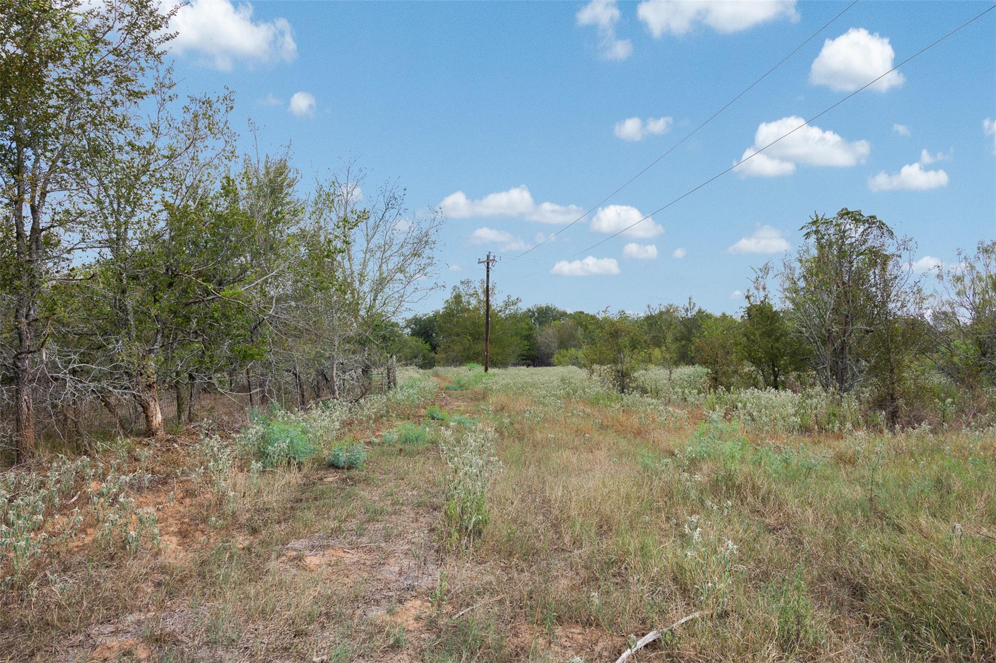 Lot 1 CR 491