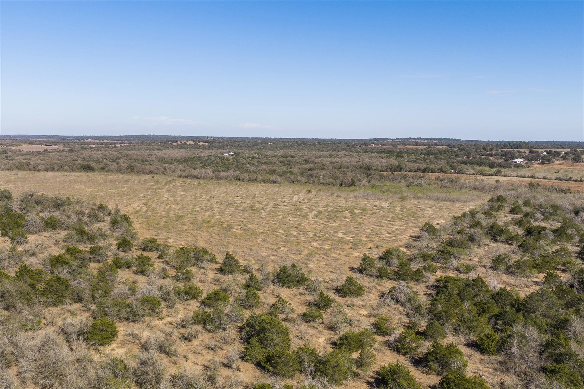 TBD Wagon RD