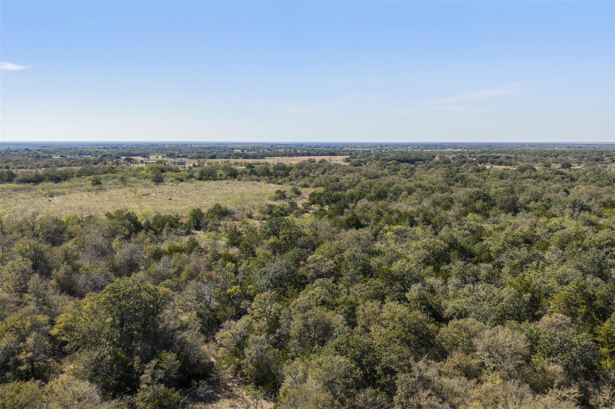 TBD Wagon RD