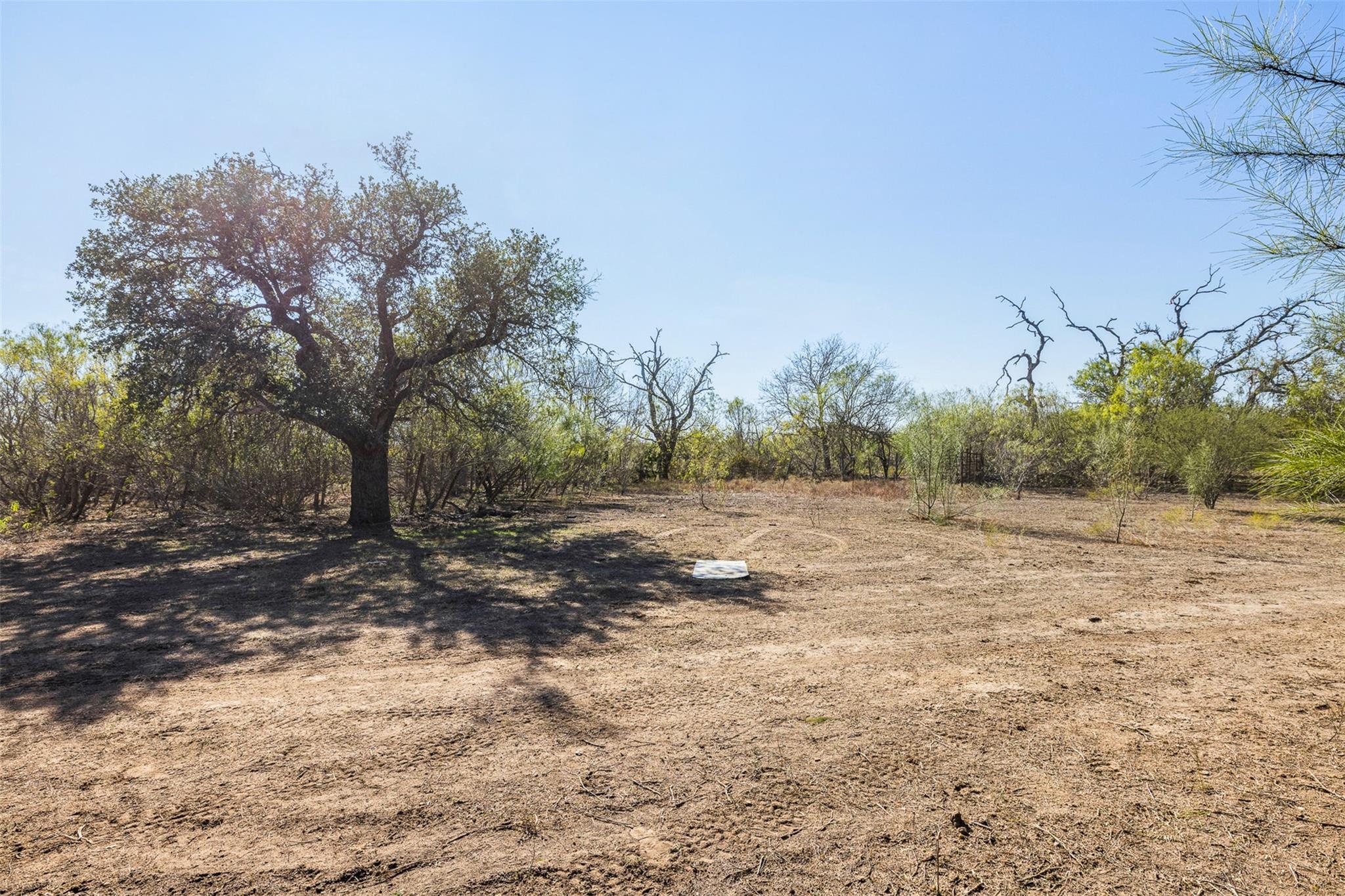 TBD Wagon RD