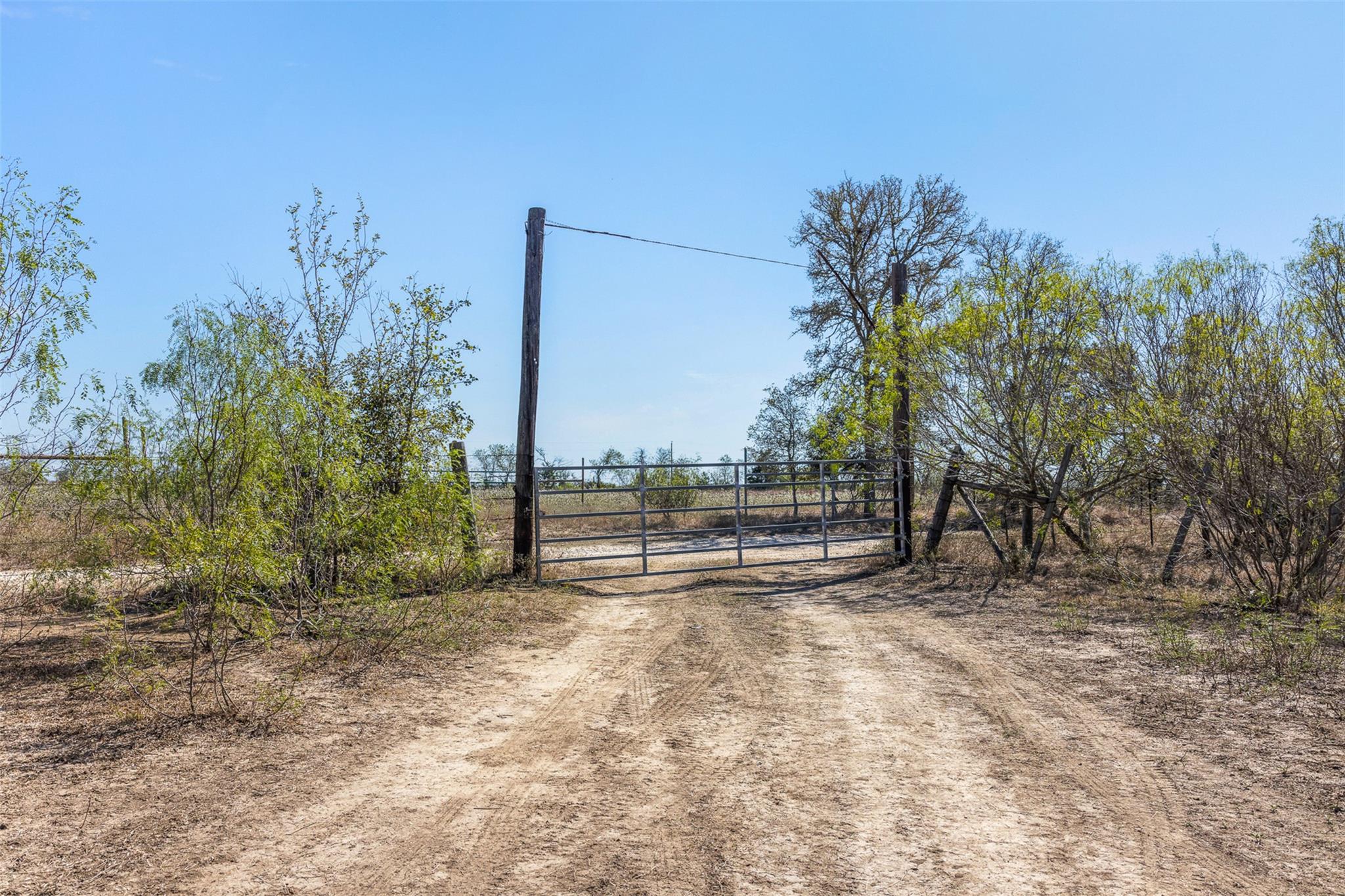 TBD Wagon RD