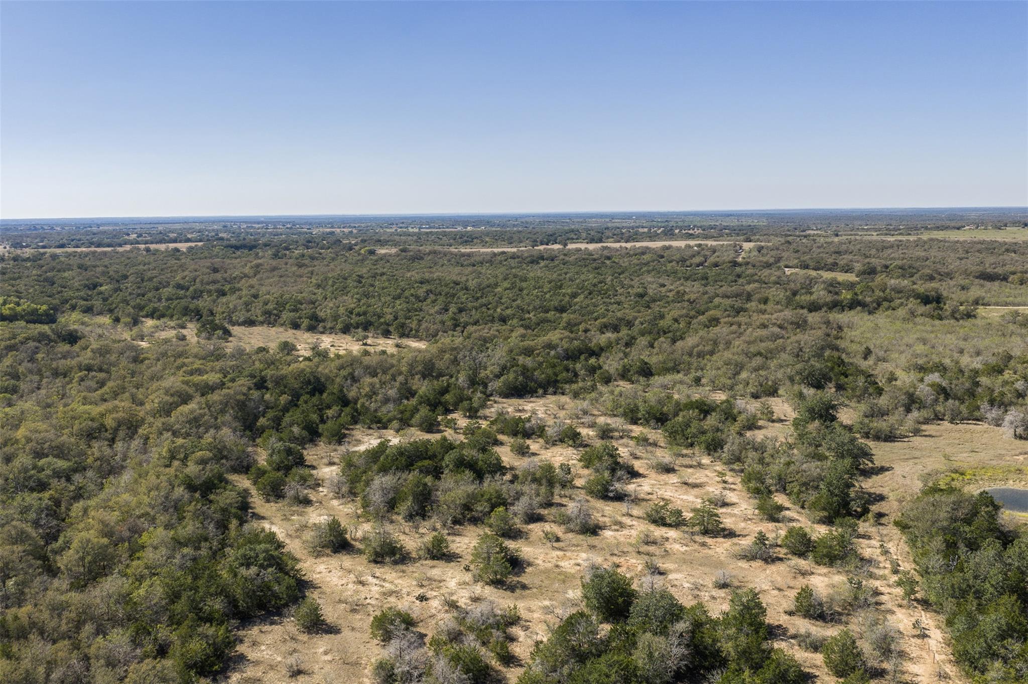 TBD Wagon RD