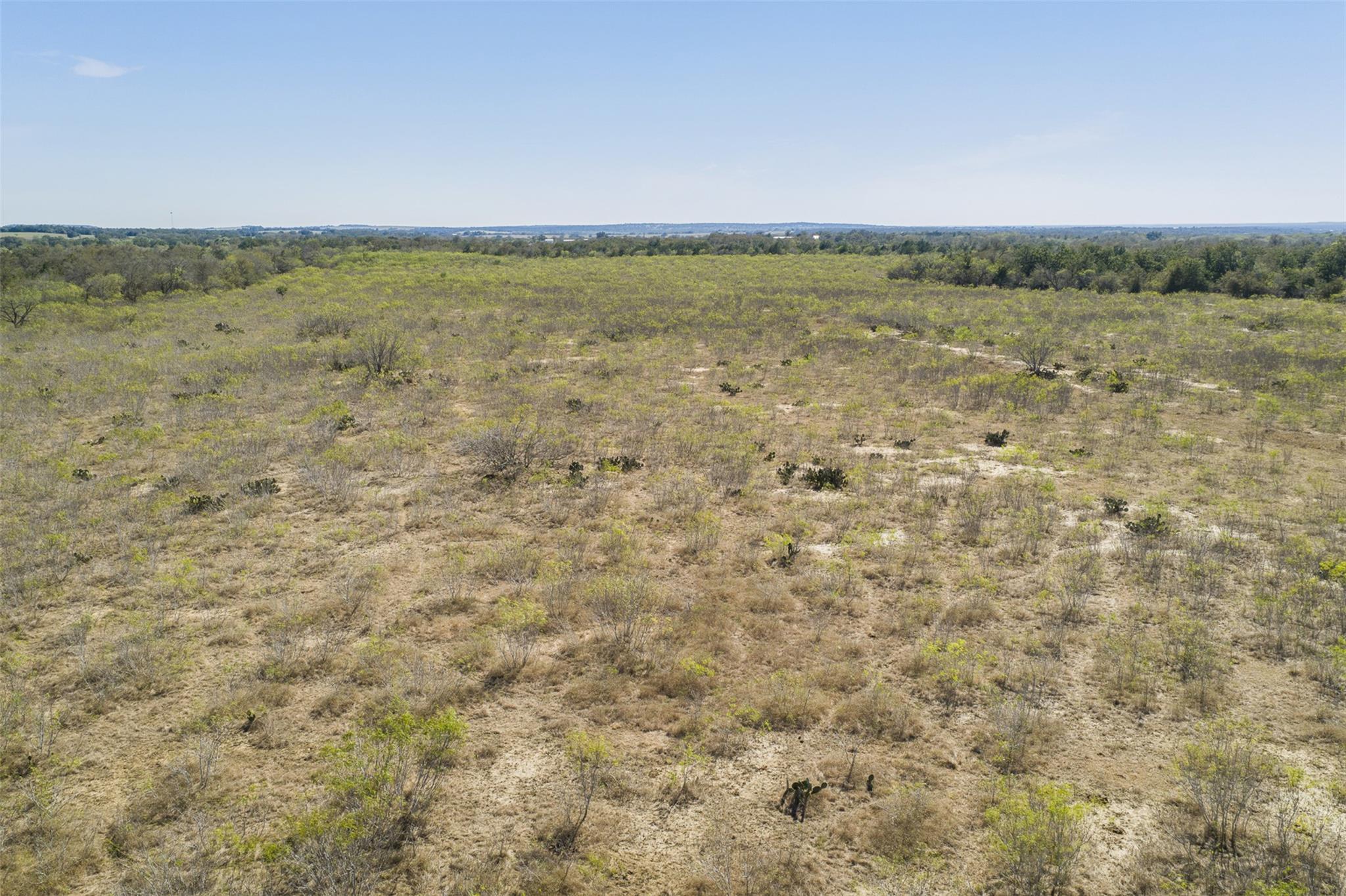 TBD Wagon RD