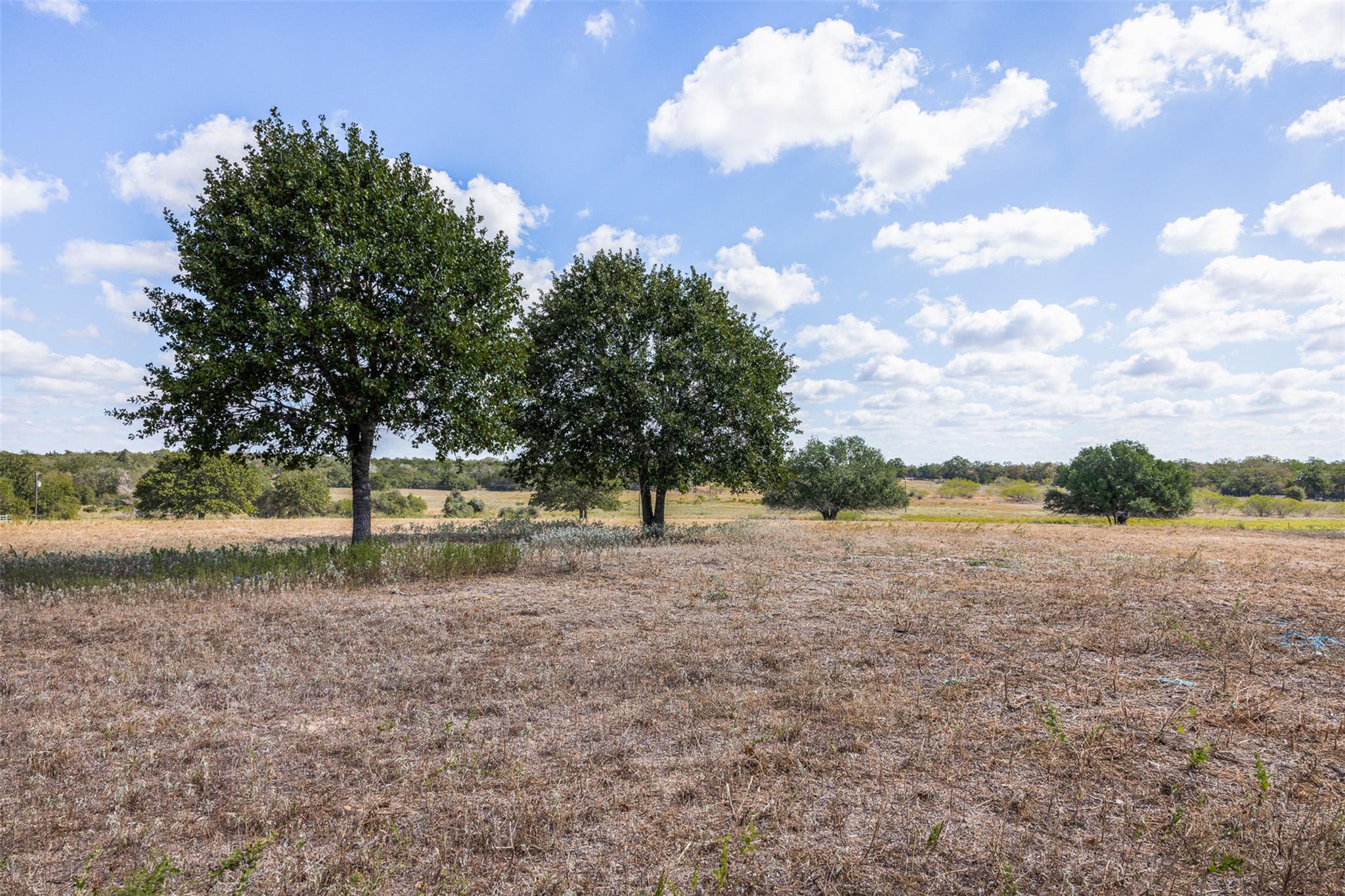 2135 Mule Creek. RD