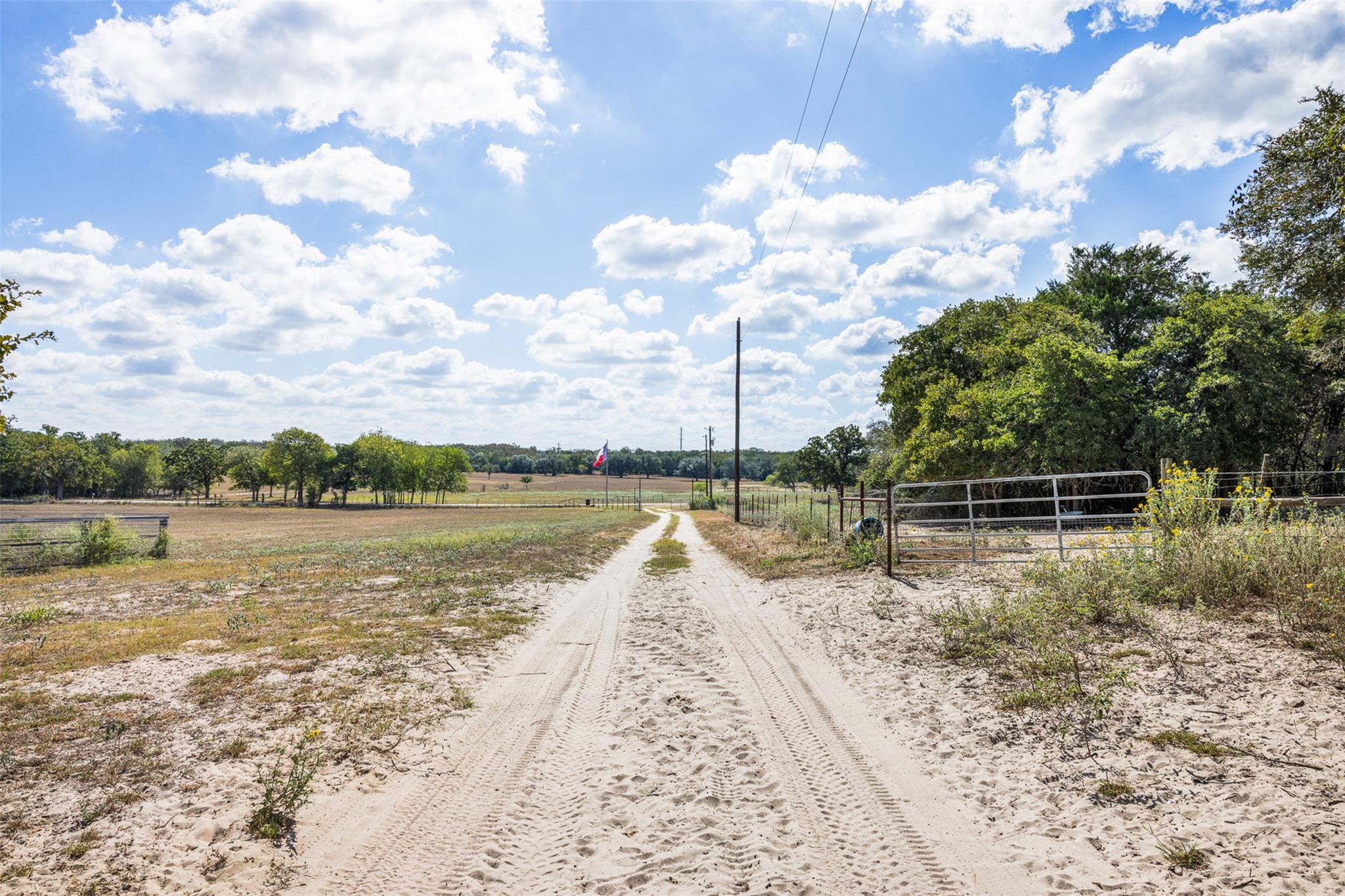 2135 Mule Creek. RD