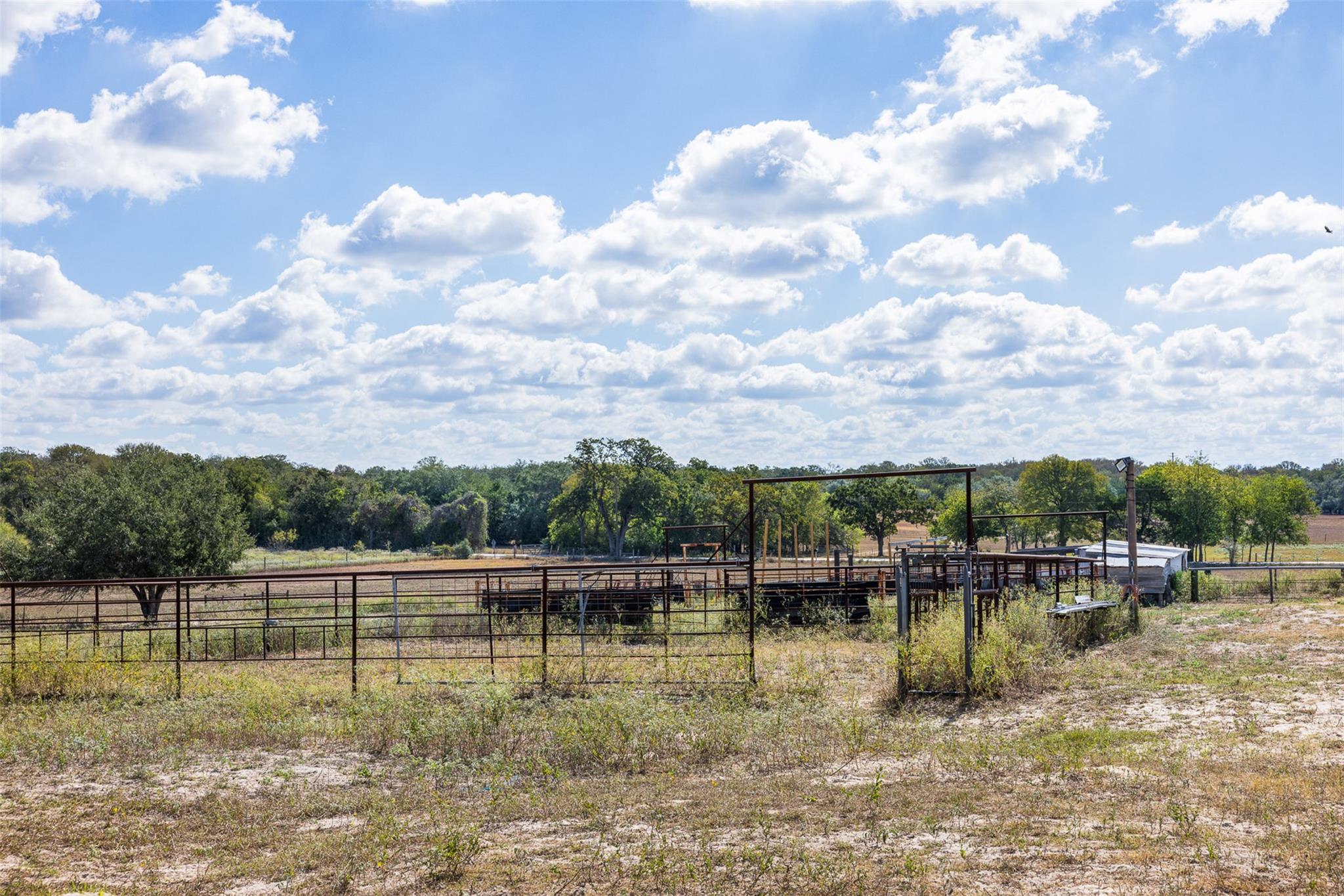 2135 Mule Creek. RD