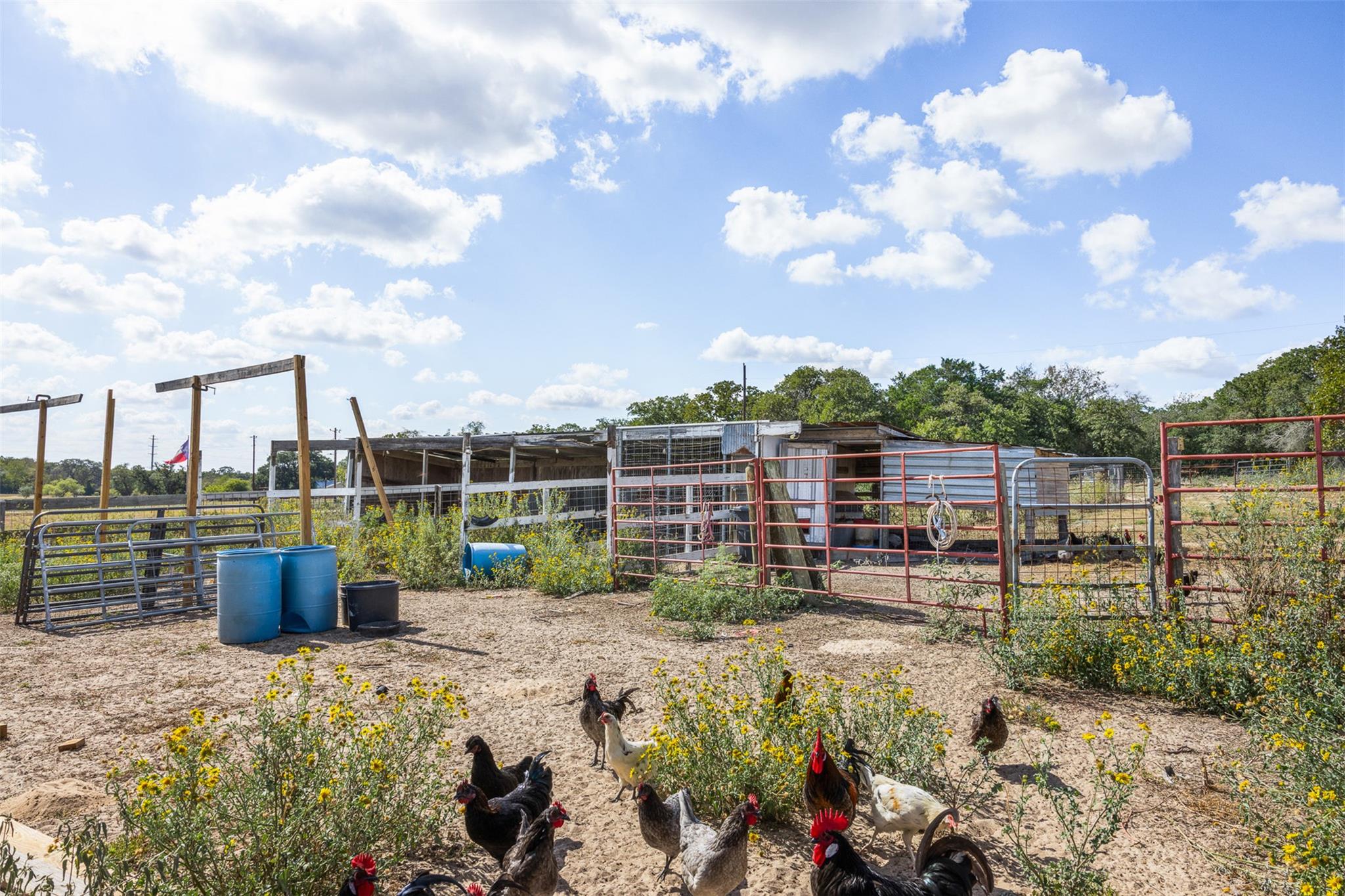 2135 Mule Creek RD, Harwood