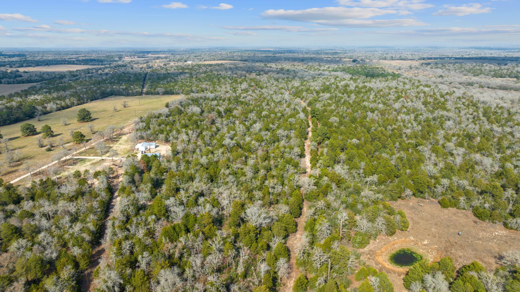 16945 Farm to Market 713