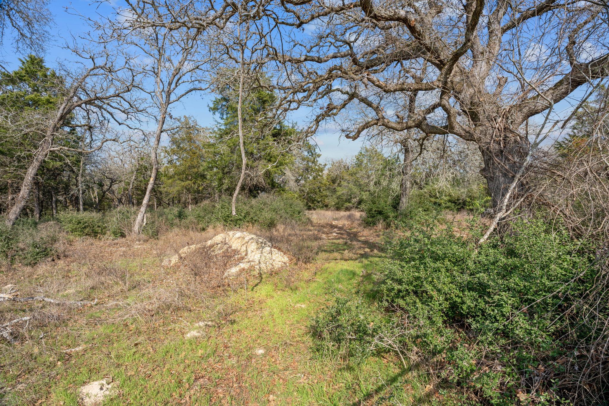16945 Farm to Market 713