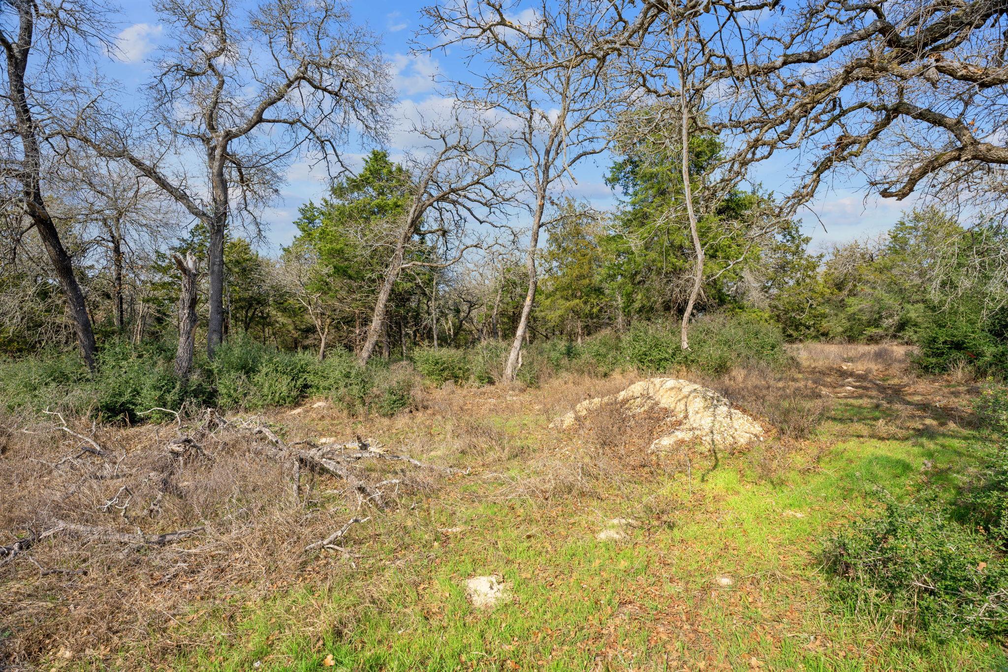 16945 Farm to Market 713