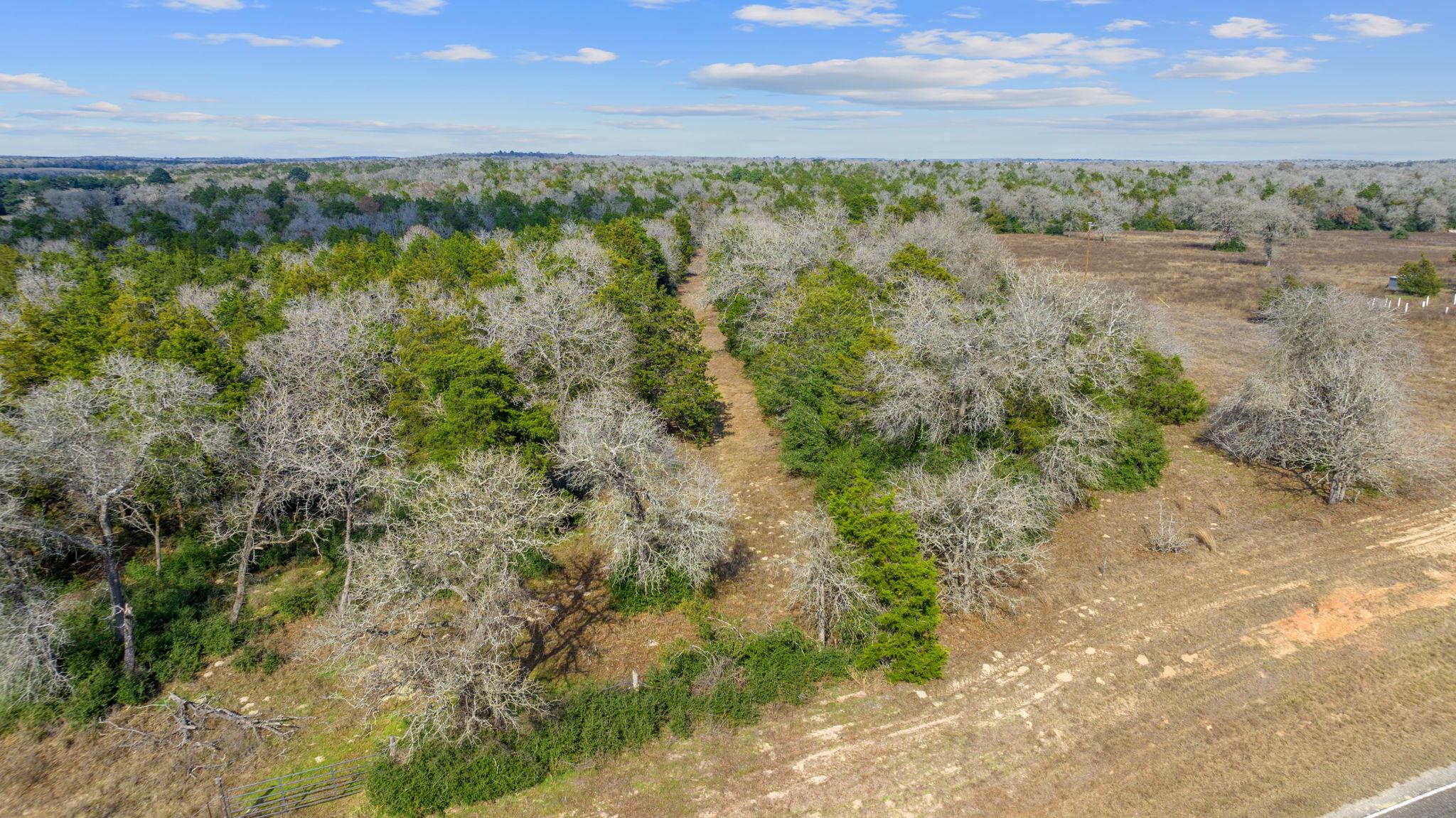 16945 Farm to Market 713