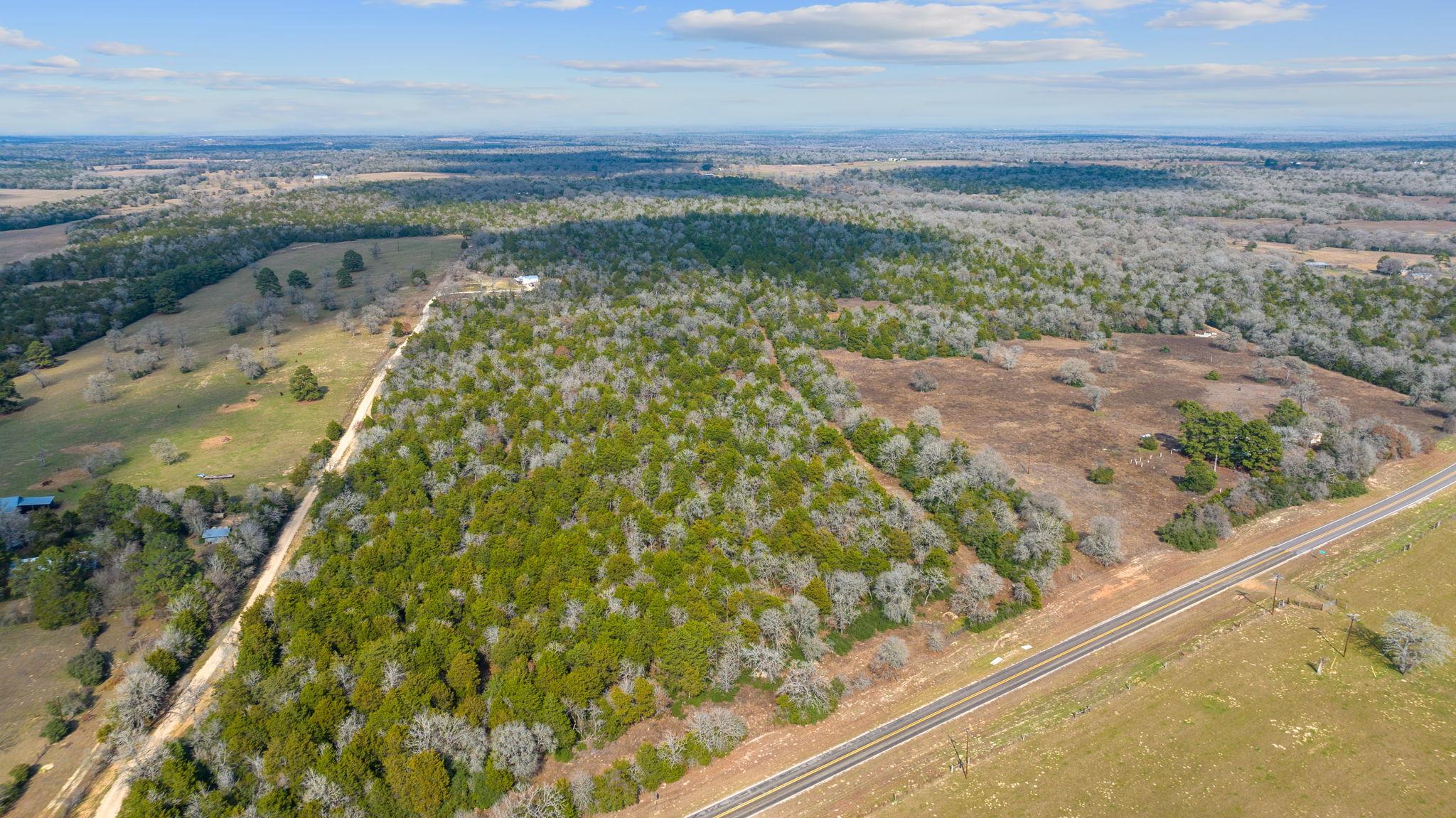 16945 Farm to Market 713