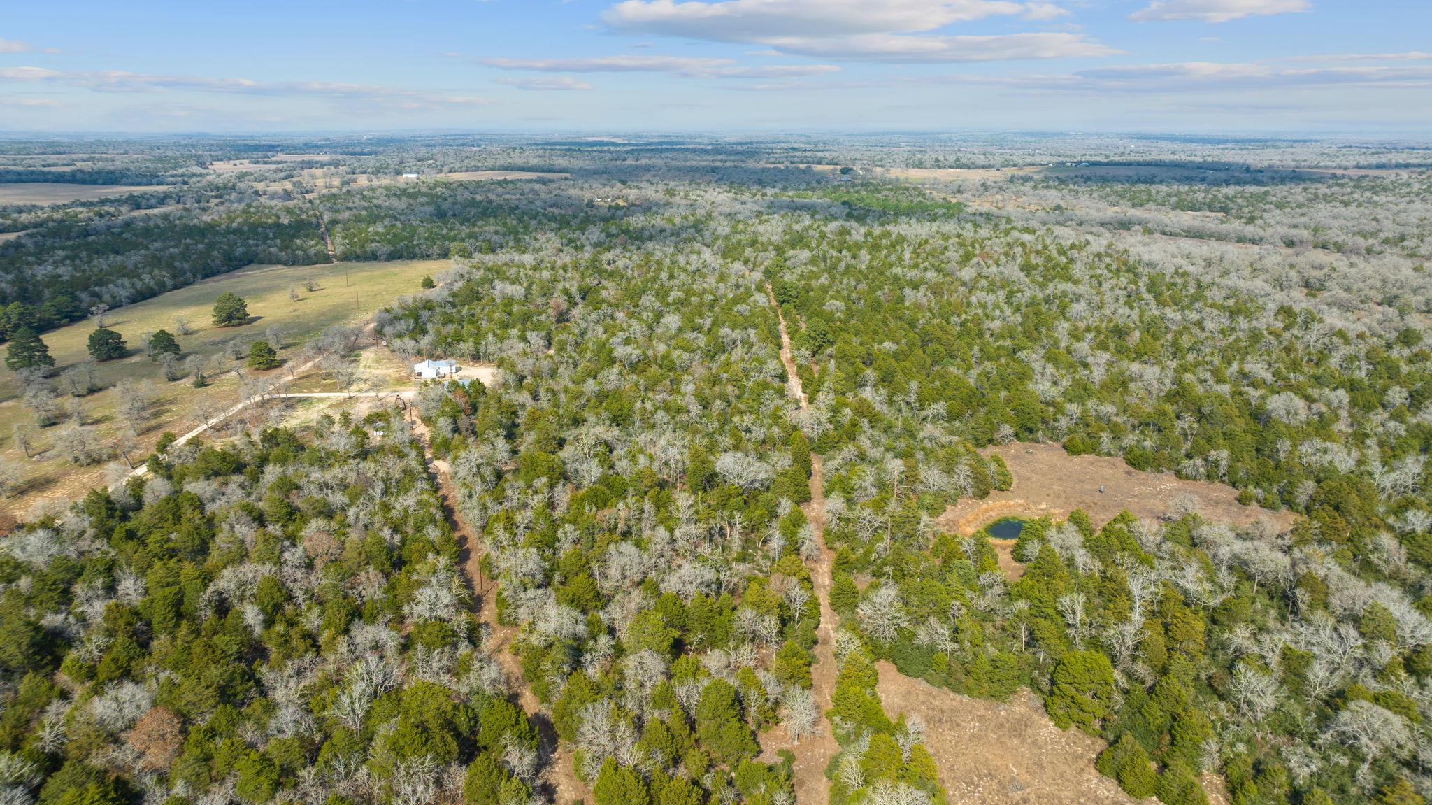 16945 Farm to Market 713