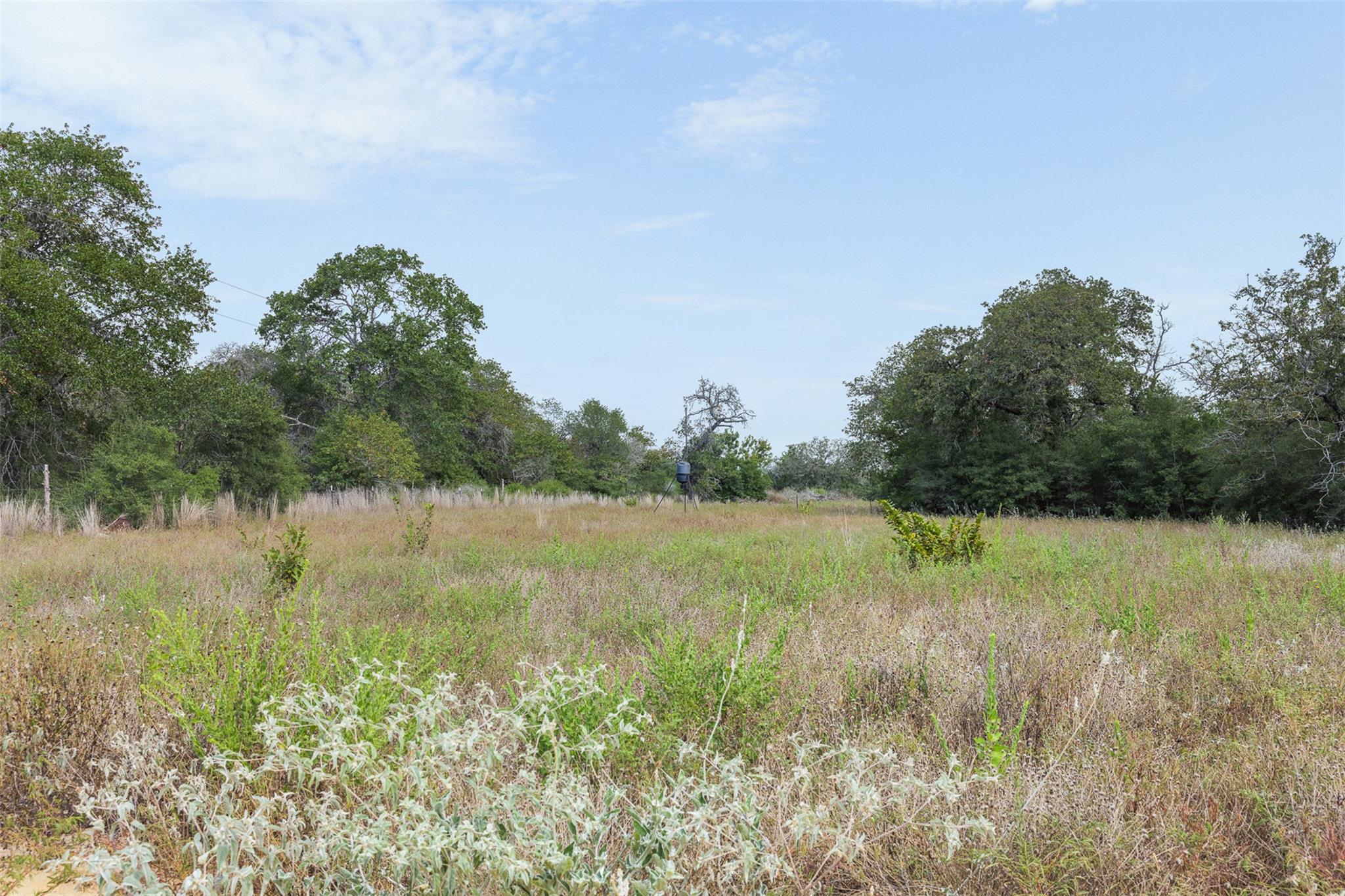 3301 Chuckwagon RD