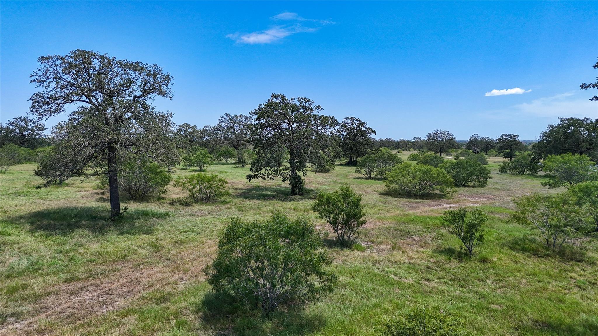 Lot 7 Zack LN