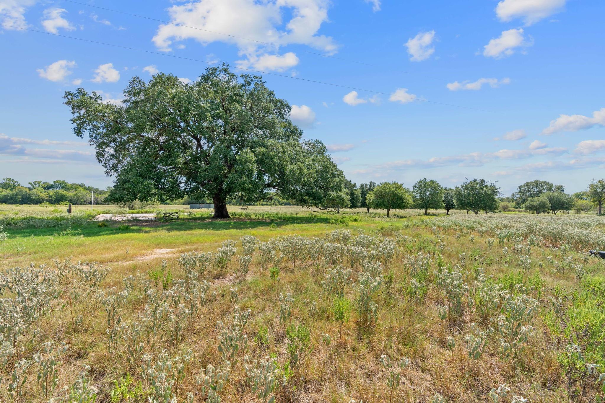 Lot 9 Sparta Field RD