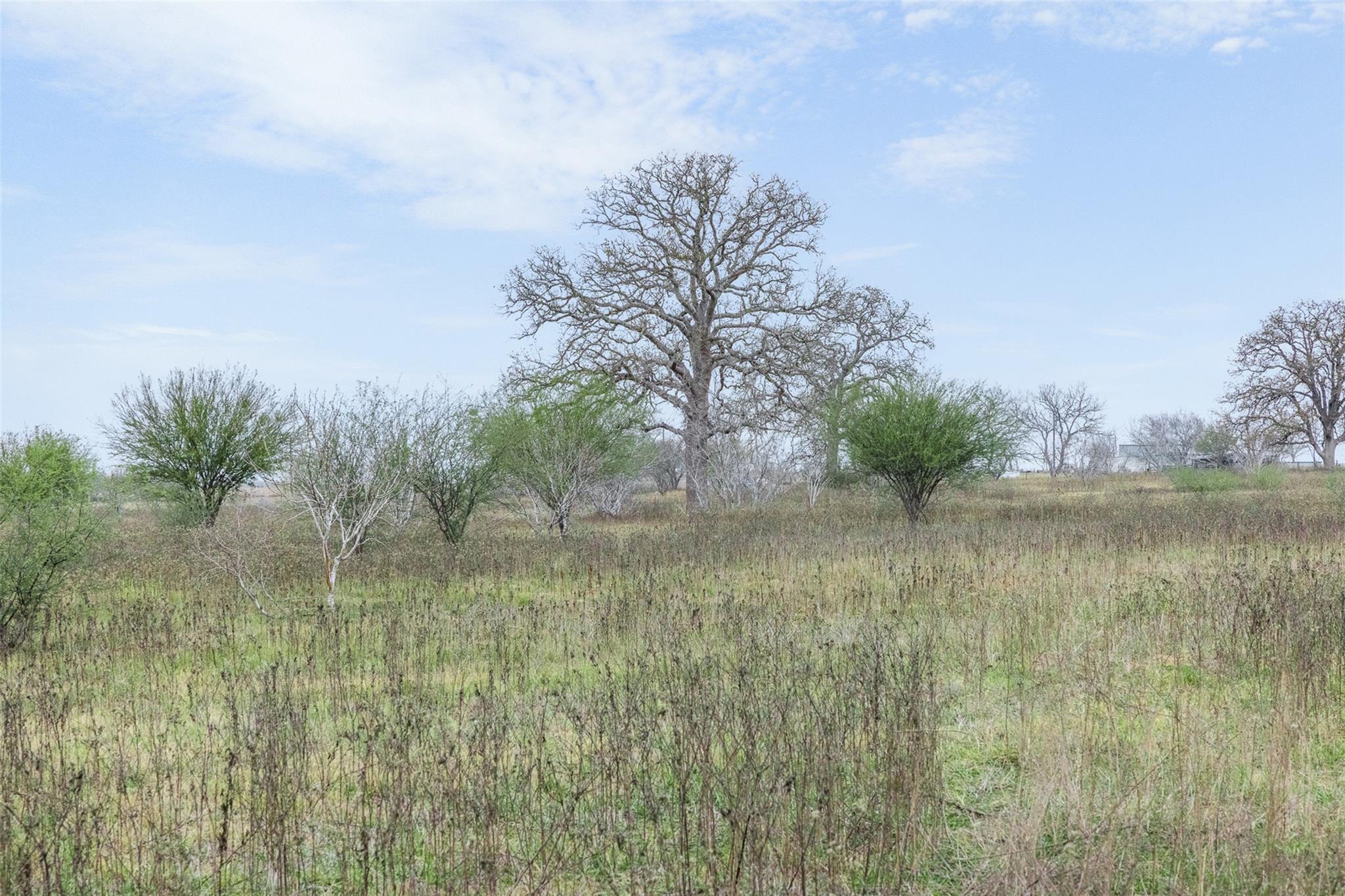 4025 County Road 284 # 46X